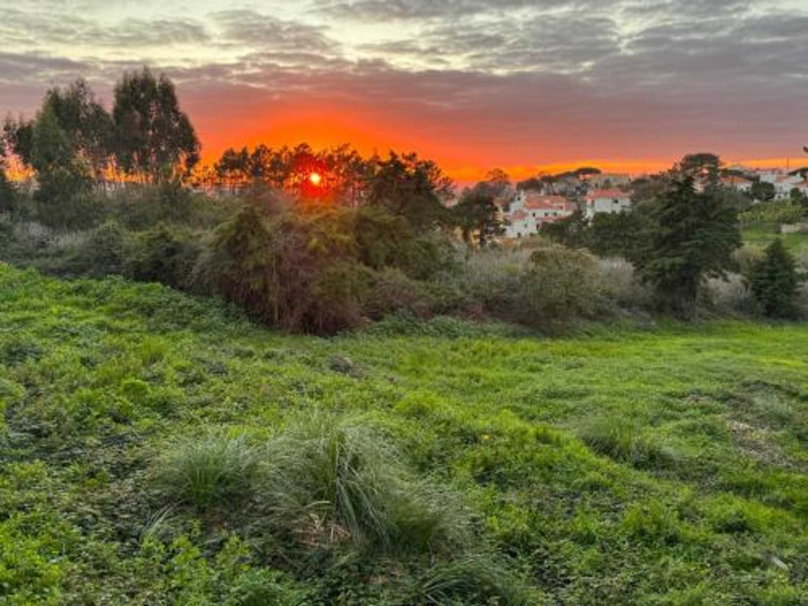 Gift card for Boutique Hotel - O House Ericeira Hills Gift card for Boutique Hotel - O House Ericeira Hills