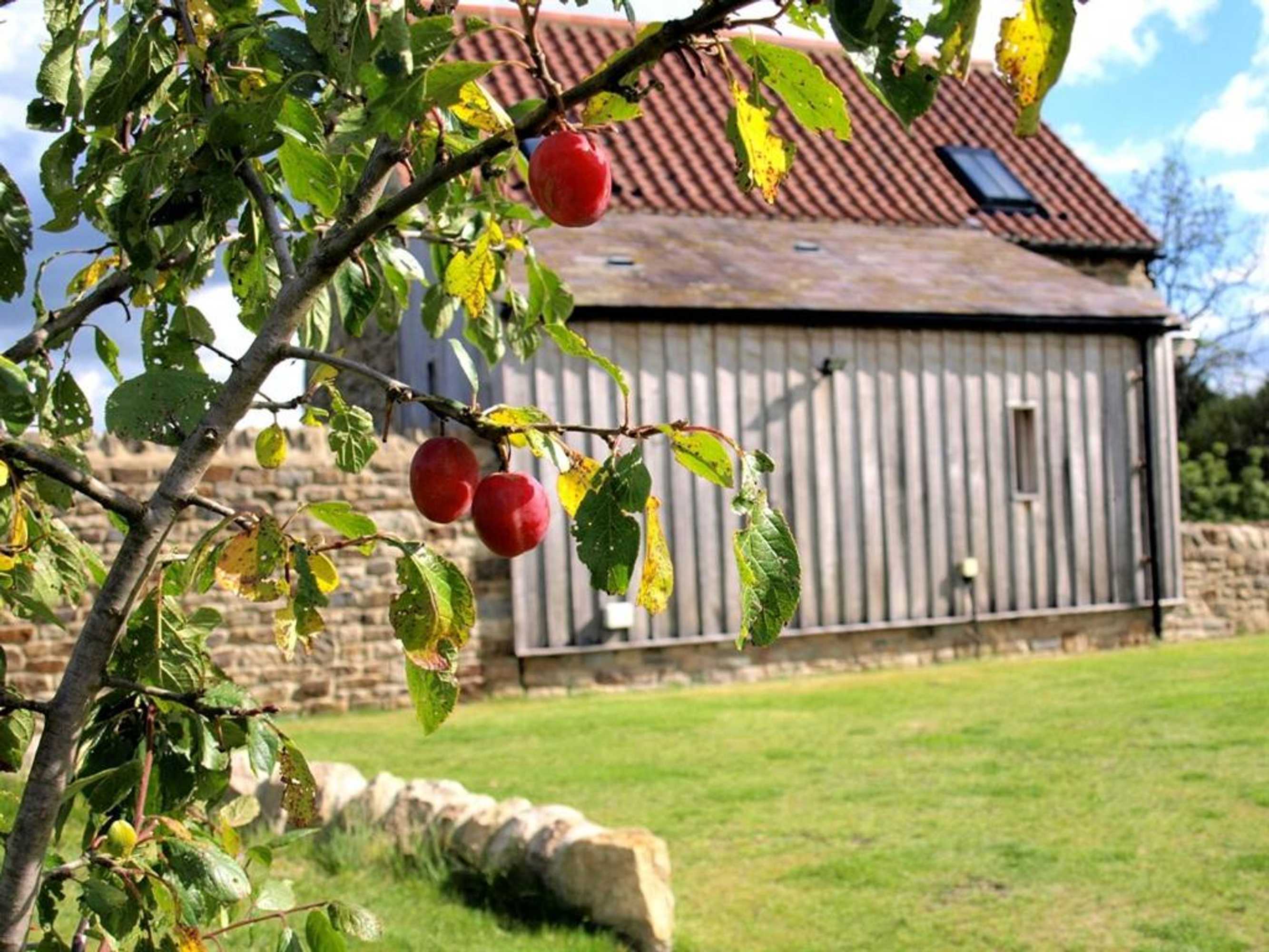 Gift card for Plum Tree Cottage