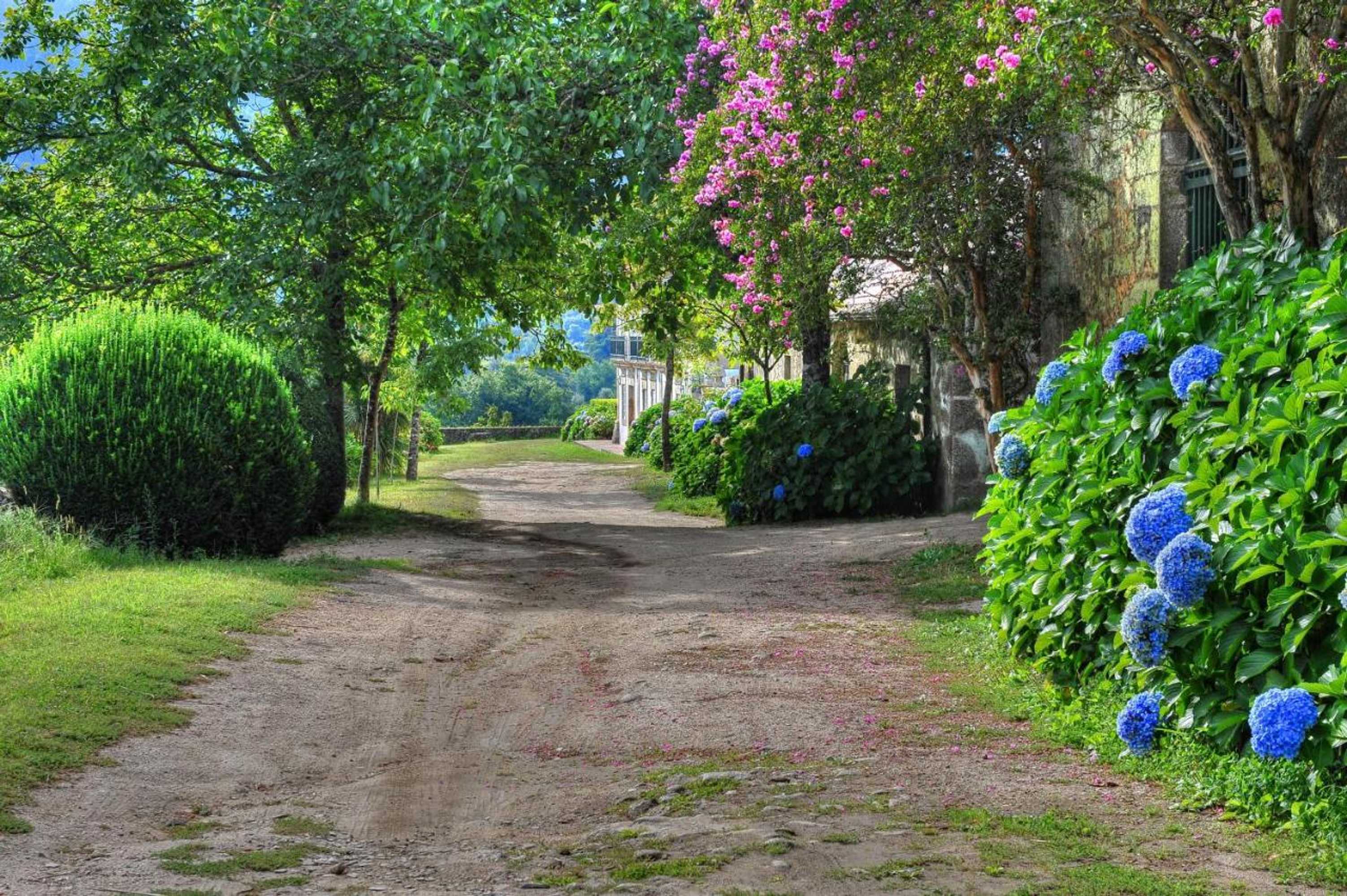 Gift card for Quinta de Luou