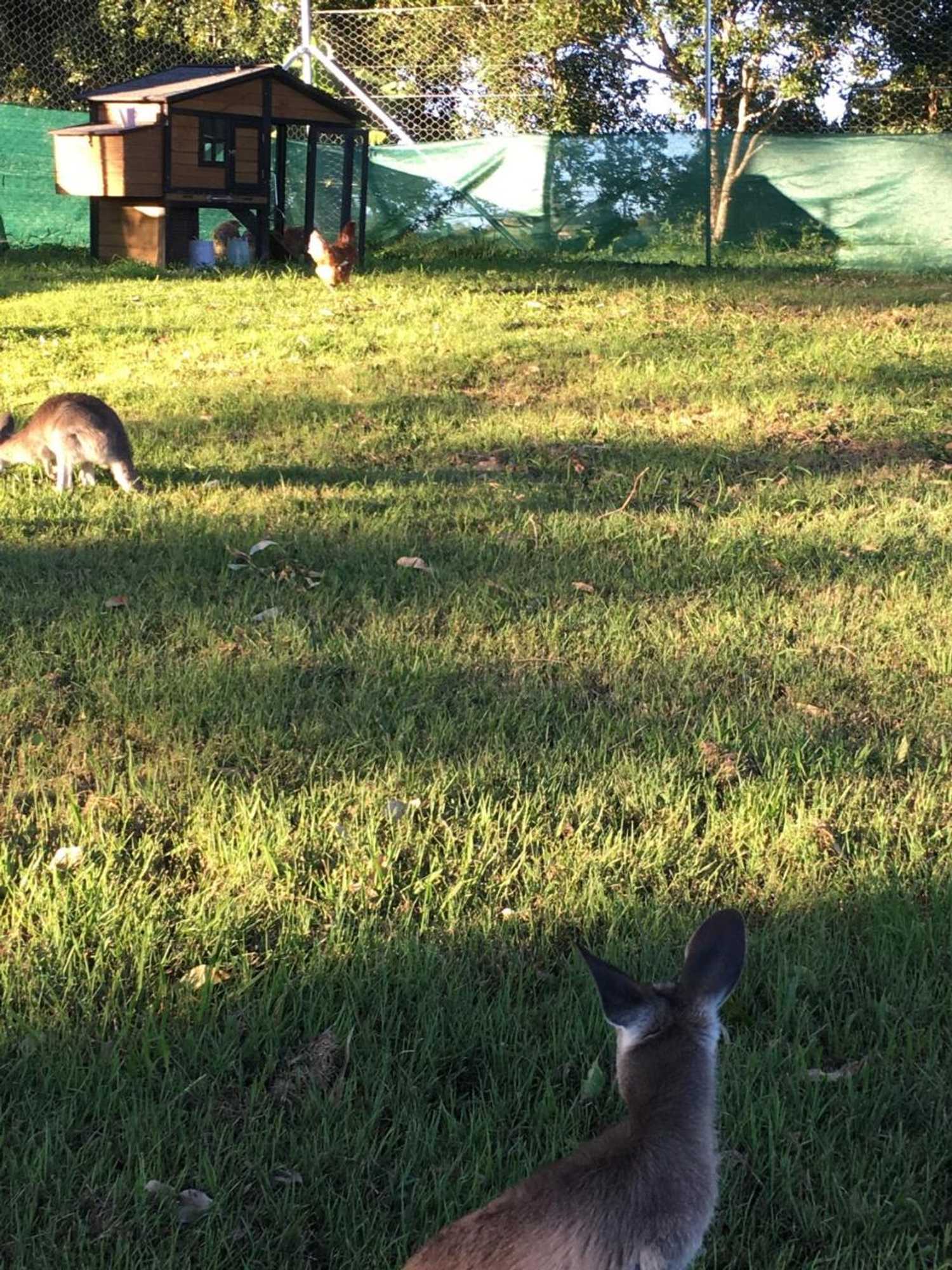 Gift card for Mapleton Springs