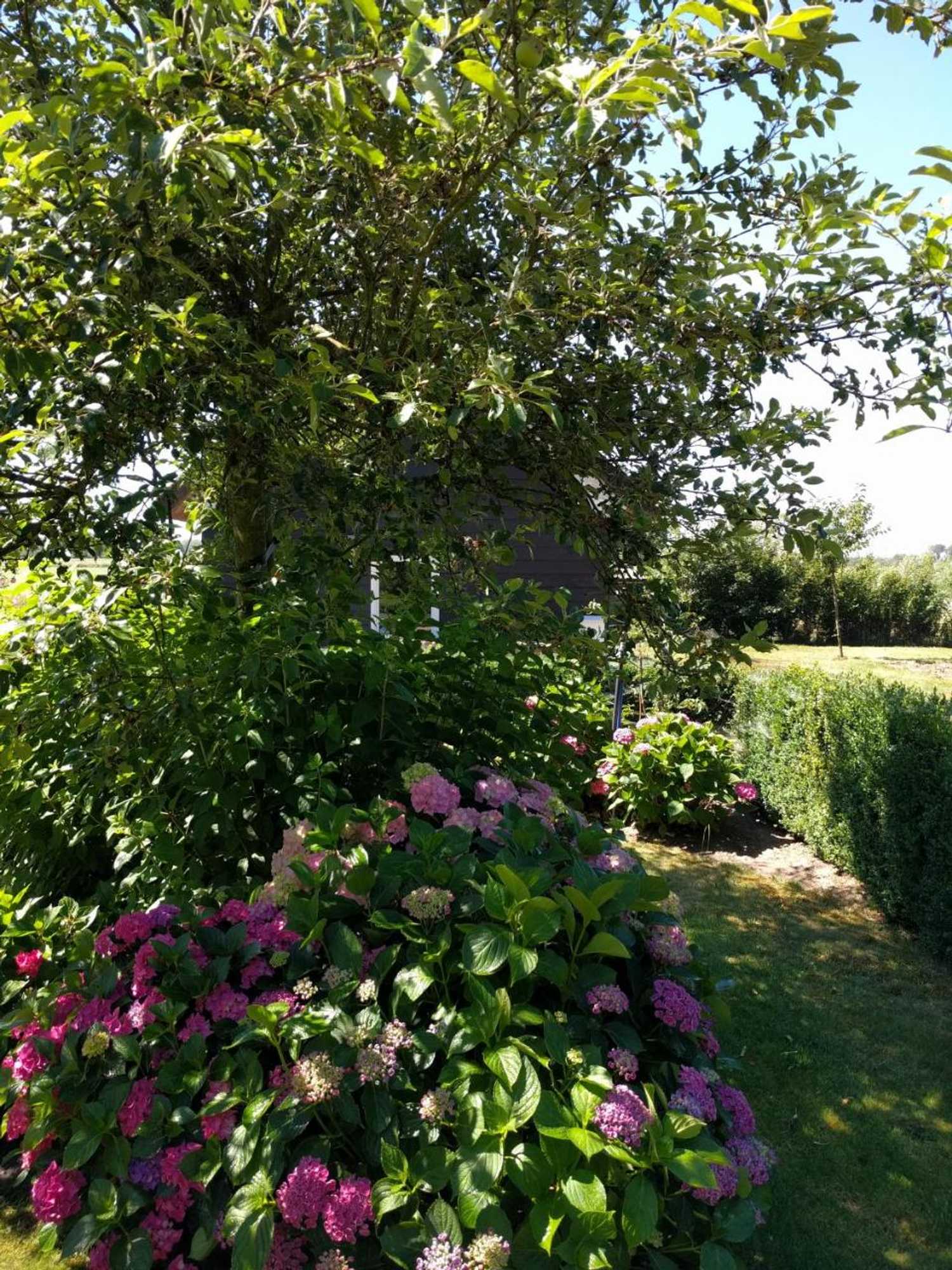 Gift card for B&b Agnetenhoeve