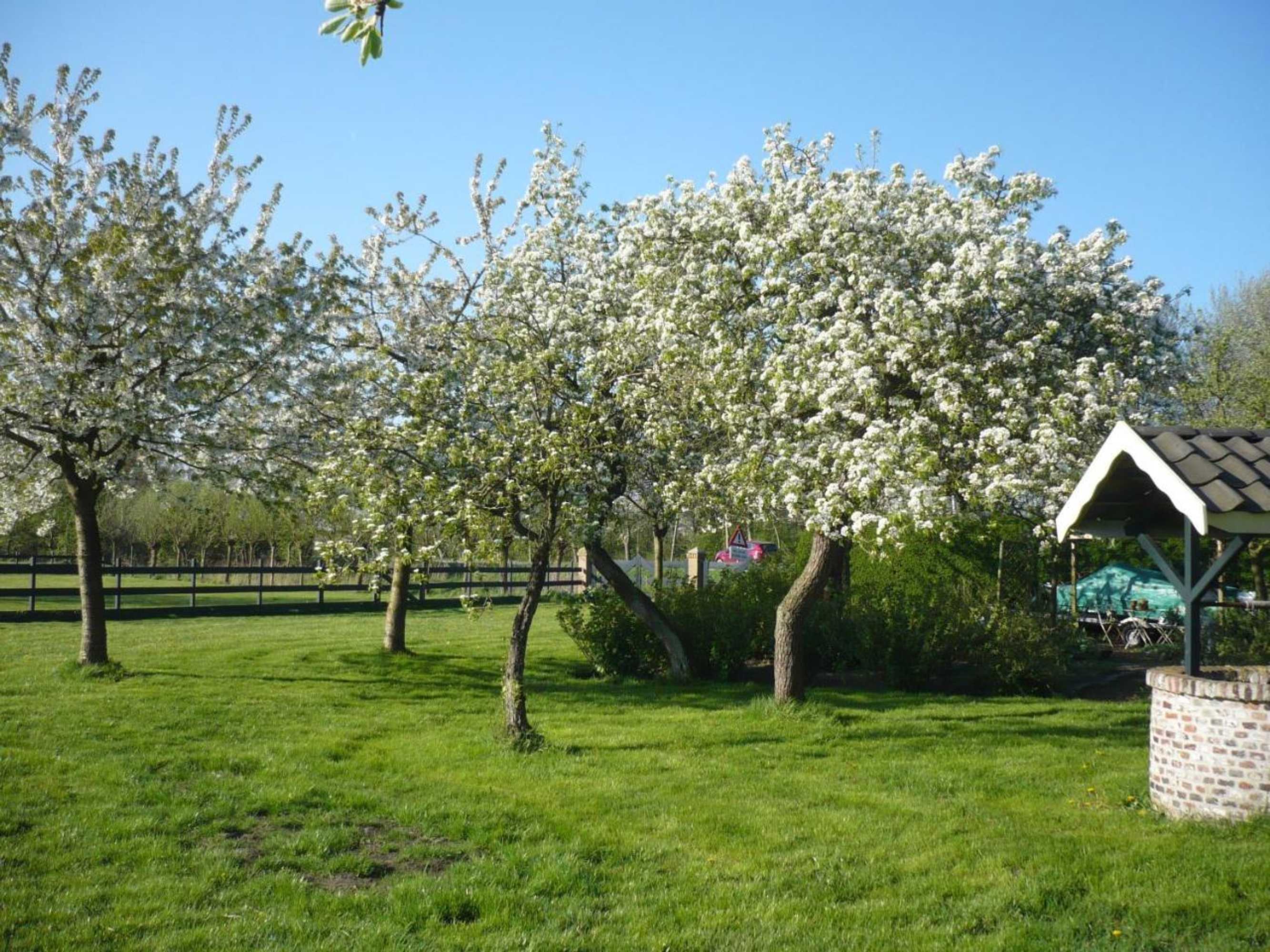 Gift card for Shepherds House B&b