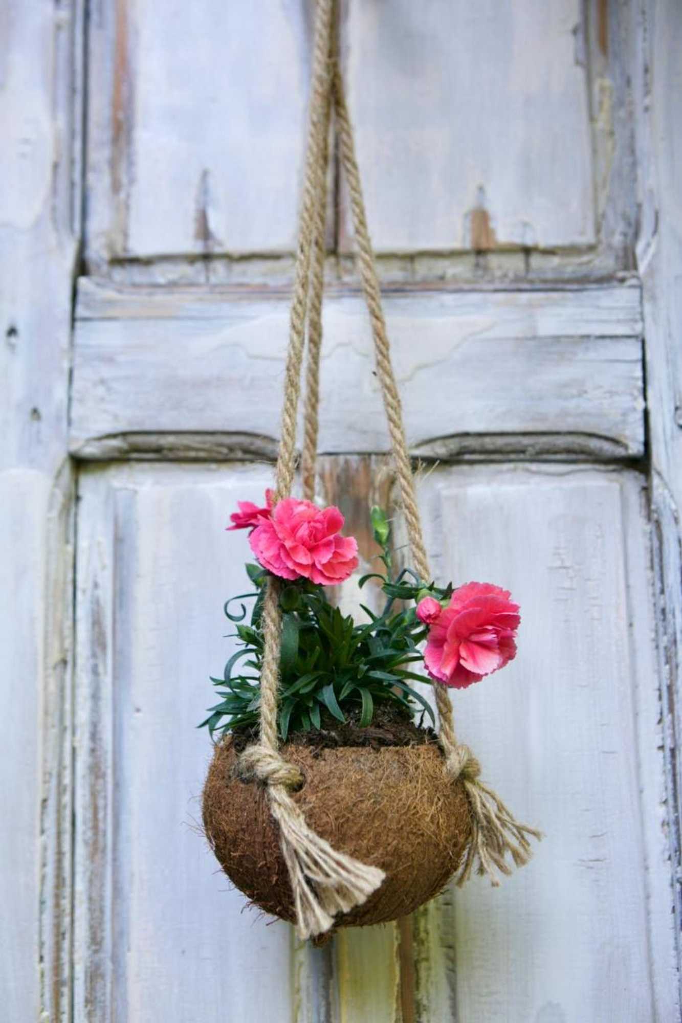 Gift card for Bakhuisje op de Veluwe