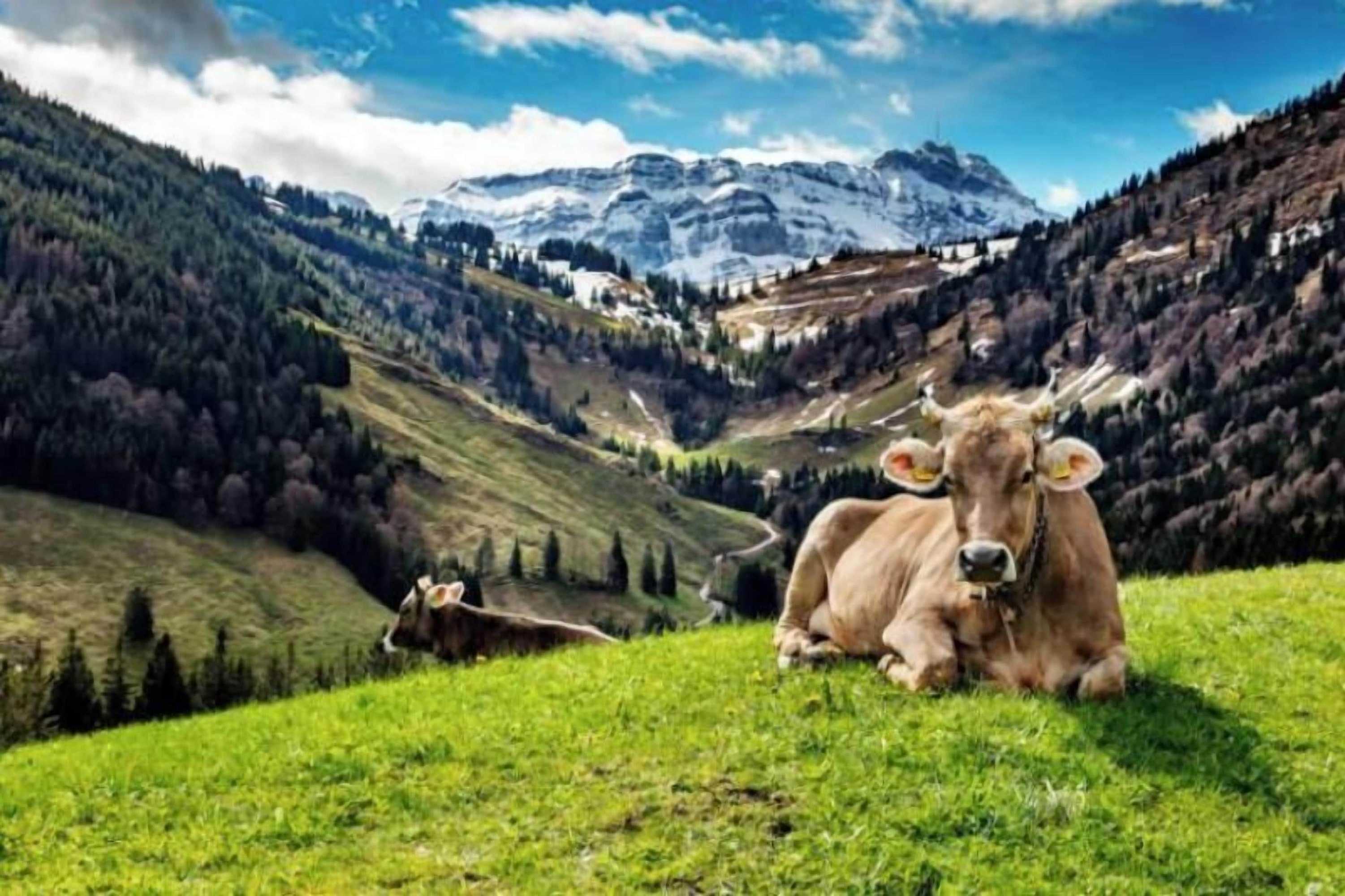 Gift card for Hotel- Restaurant Krone