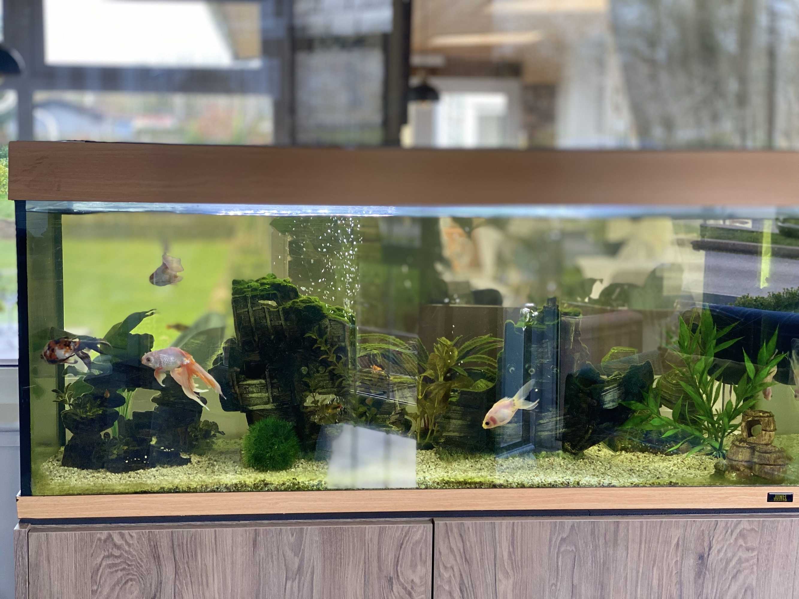 Gift card for Stone House Hotel