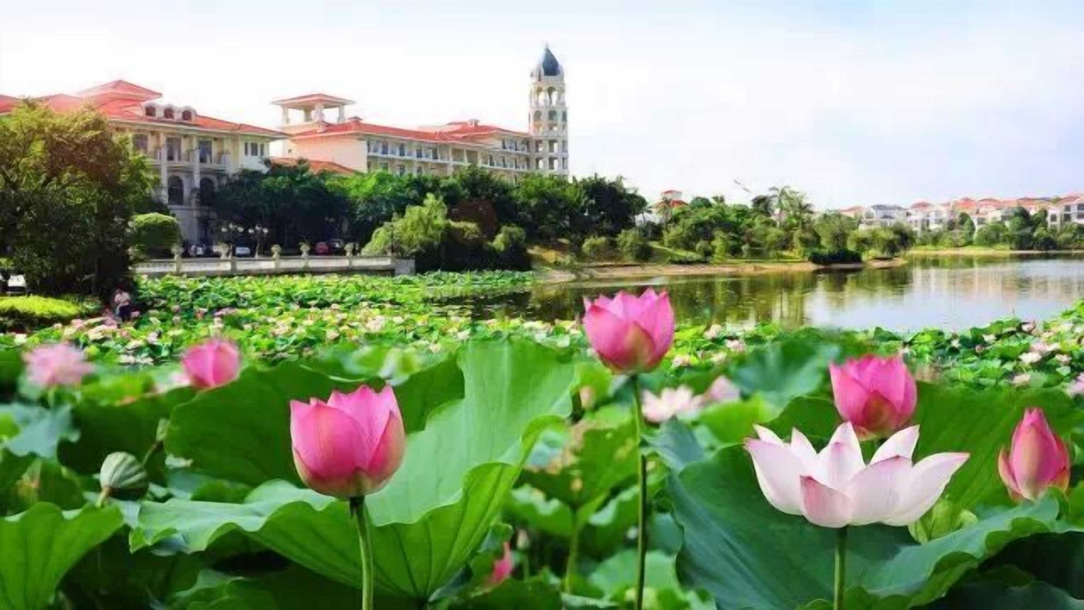 Gift card for Ctry Garden Phoenix Hot Spring Taizhou Gift card for Ctry Garden Phoenix Hot Spring Taizhou
