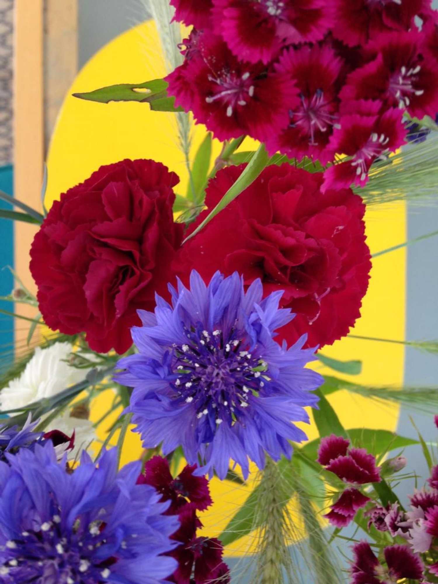 Gift card for Hotel Gästehaus Priester