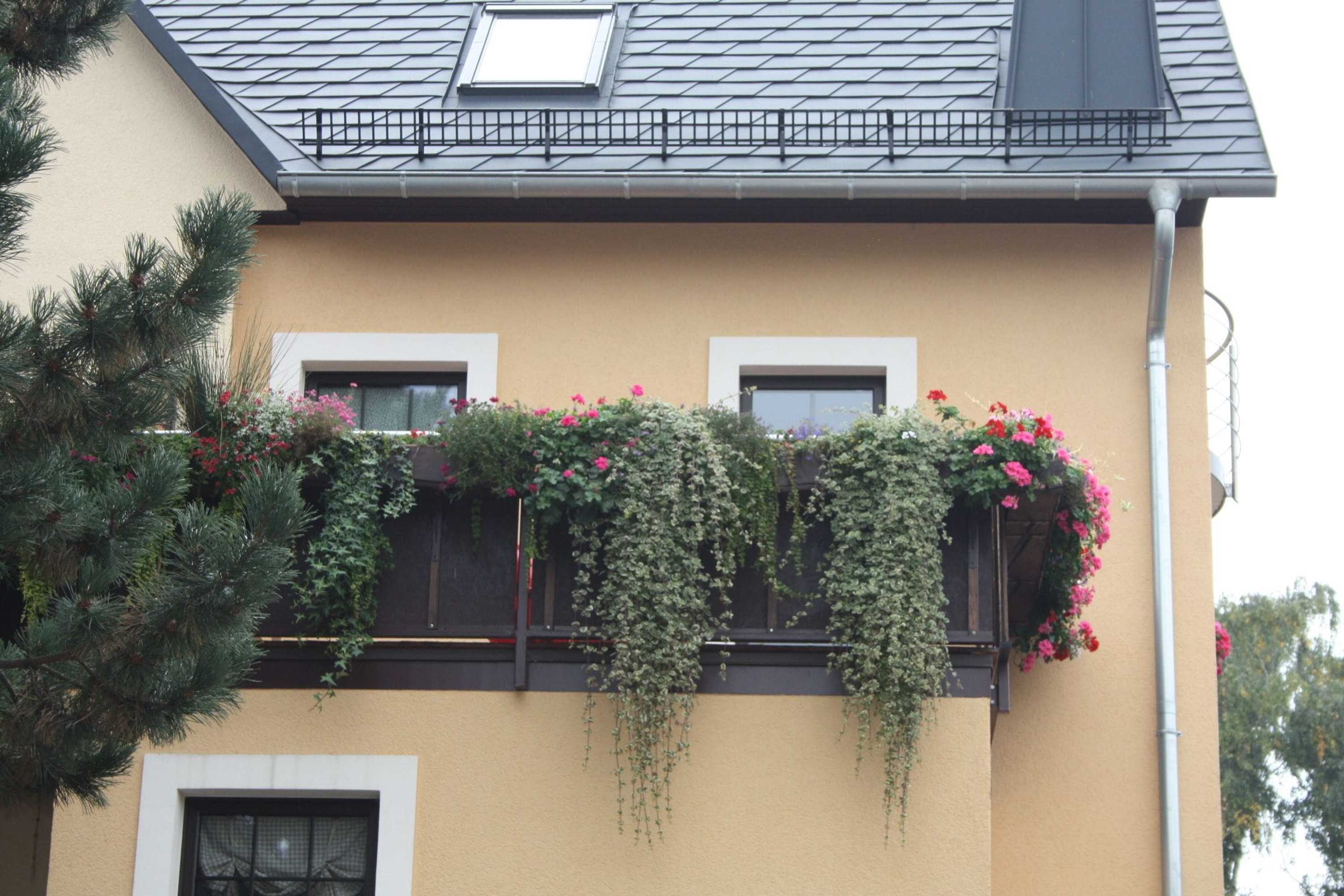 Gift card for Romantik Landhaus Dresden
