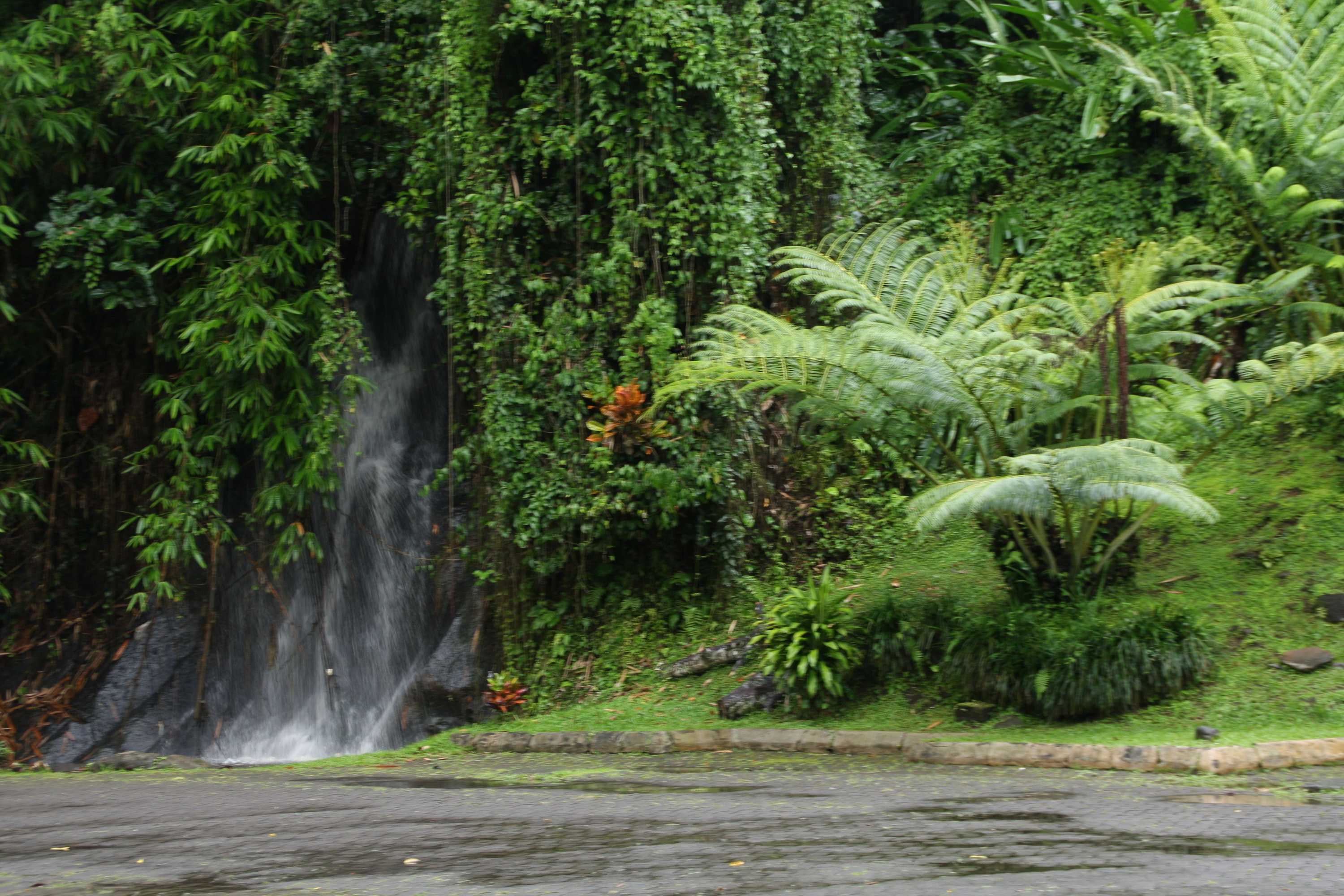 Gift card for Yeh Panes Bali Gift card for Yeh Panes Bali