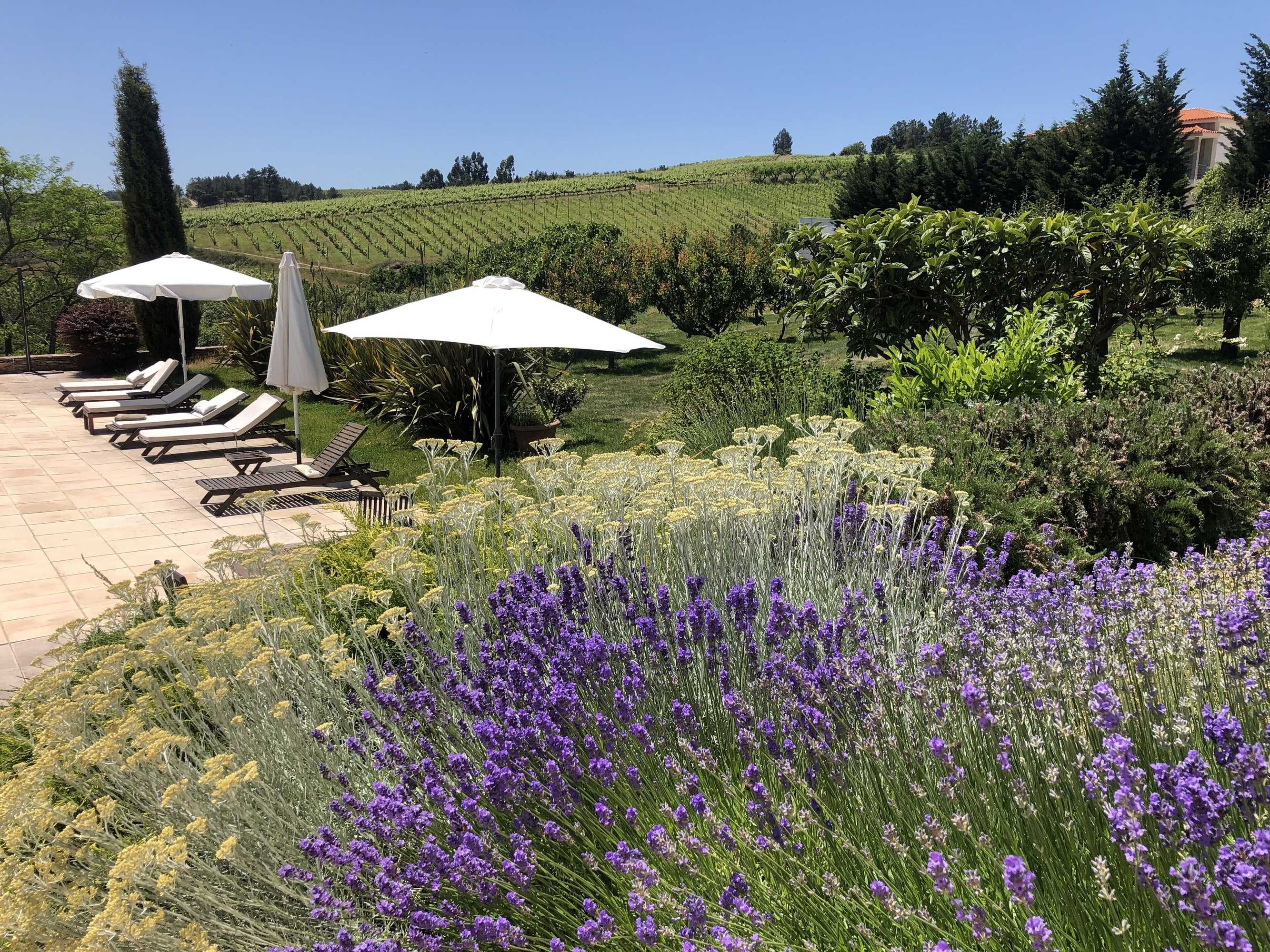 Gift card for Quinta da Pereira