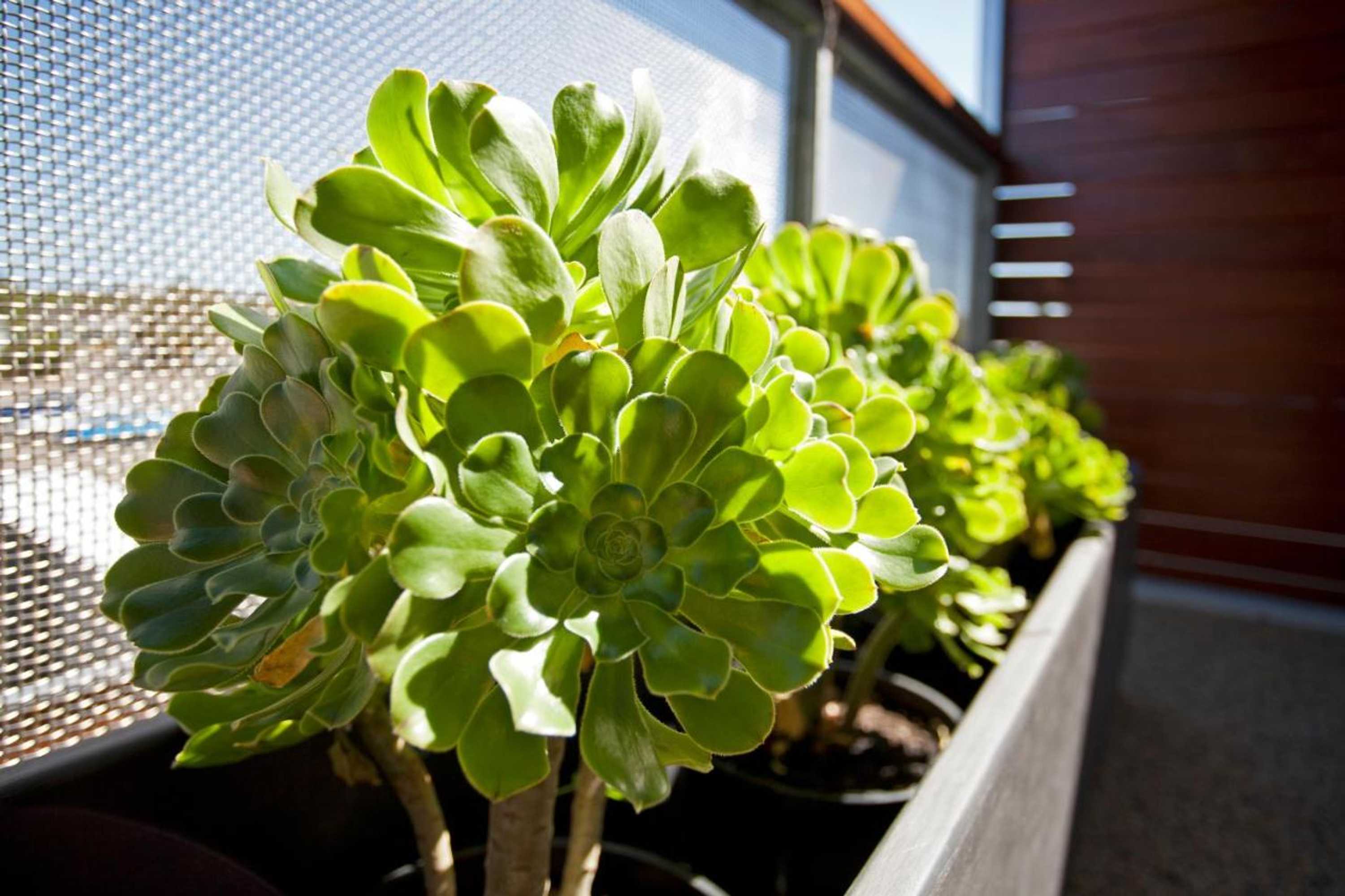 Gift card for Aquabelle Apartments