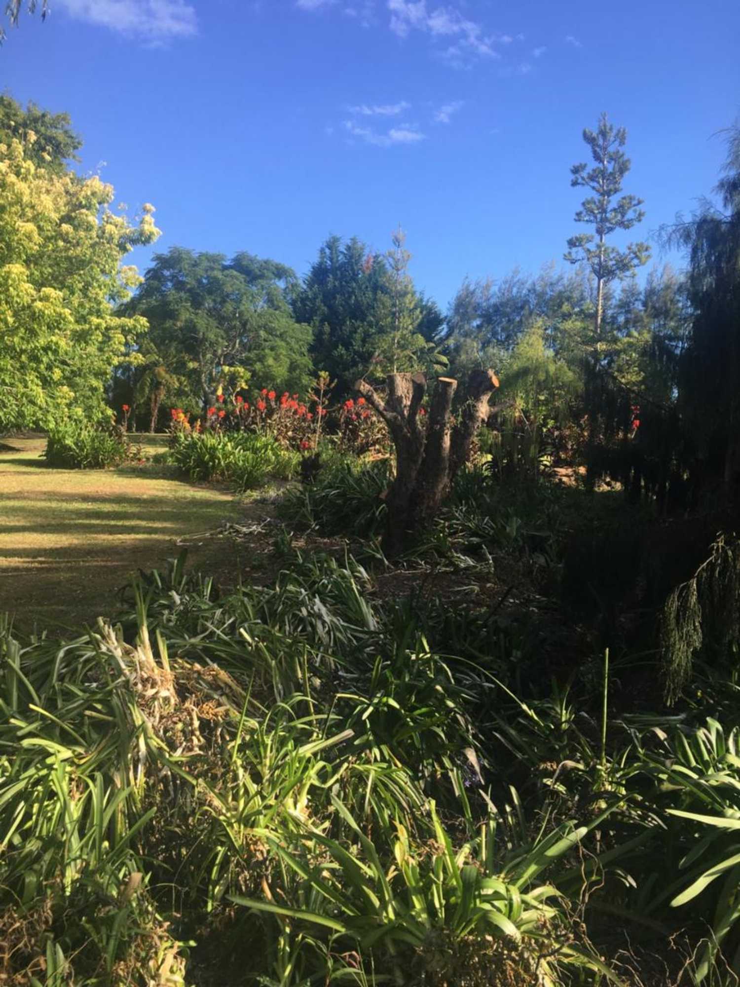 Gift card for Kerikeri Garden Homestead