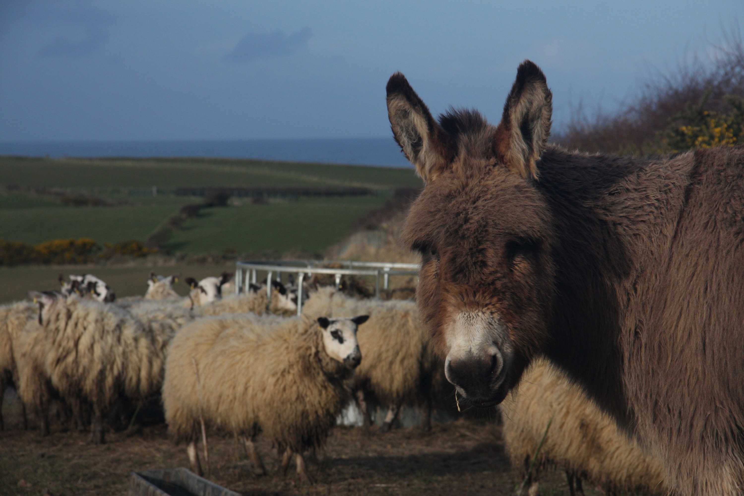 Gift card for Bayview Farm Holiday Cottages