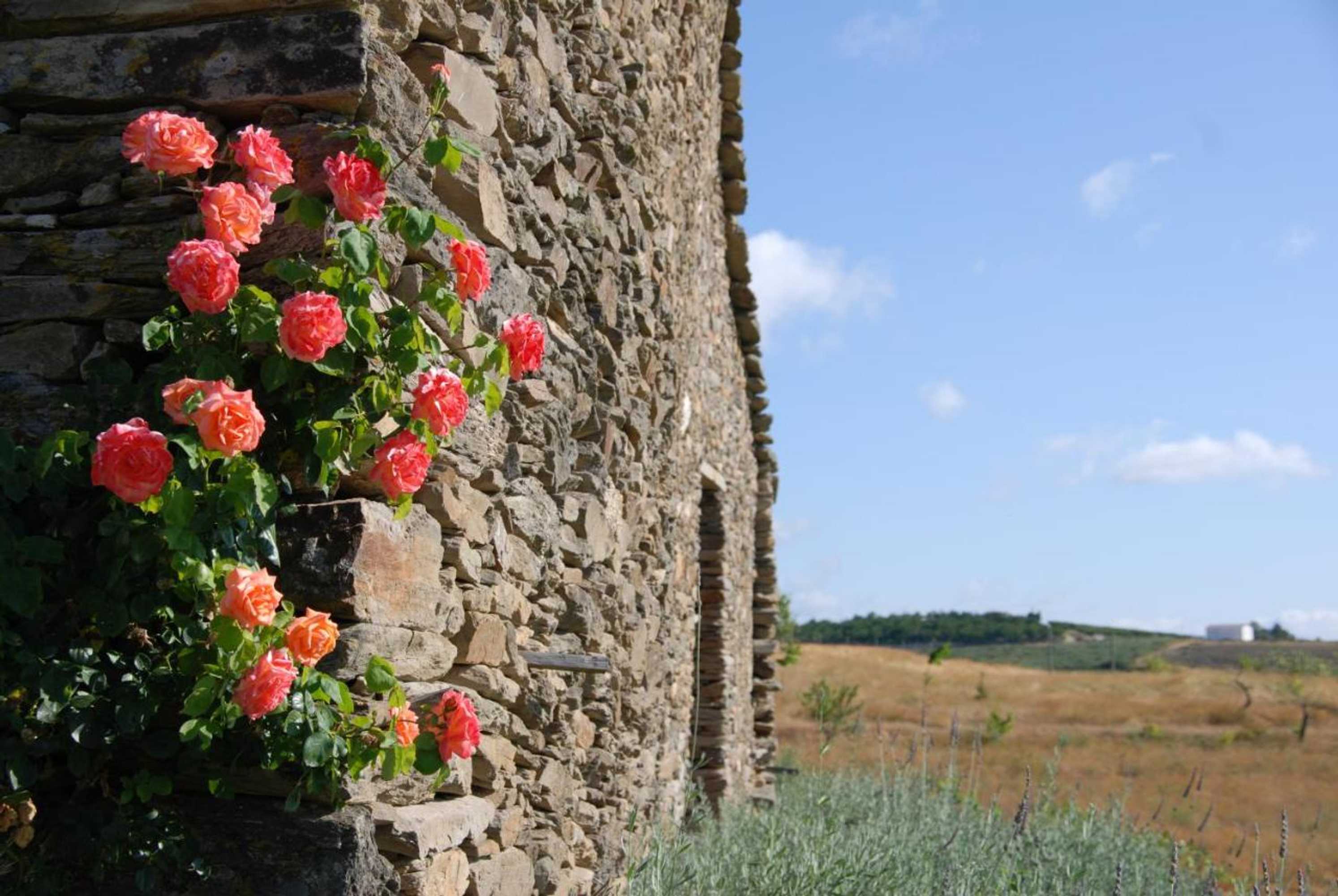 Gift card for Quinta da Alagoa