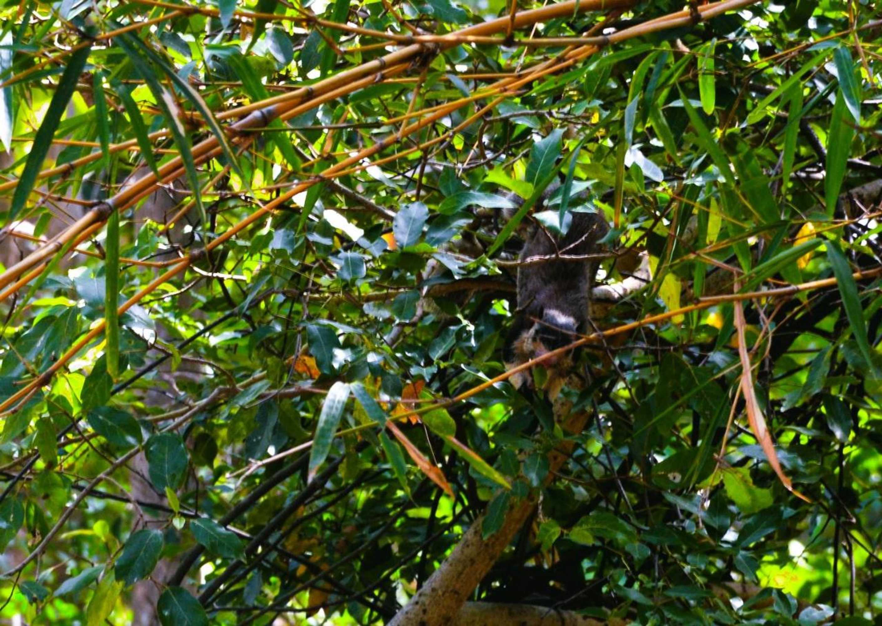 Gift card for Grand Okka Hotel