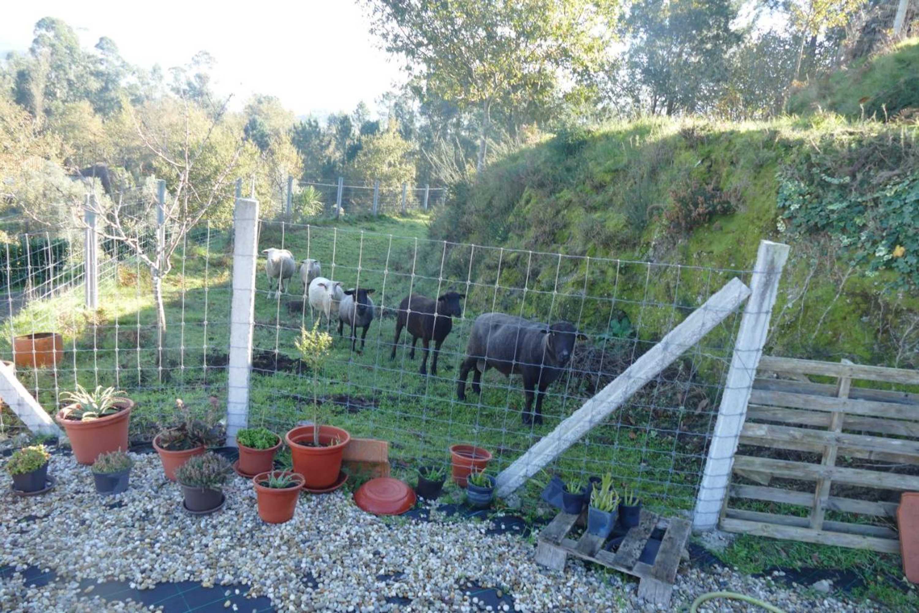 Gift card for Casa Nos Penedos