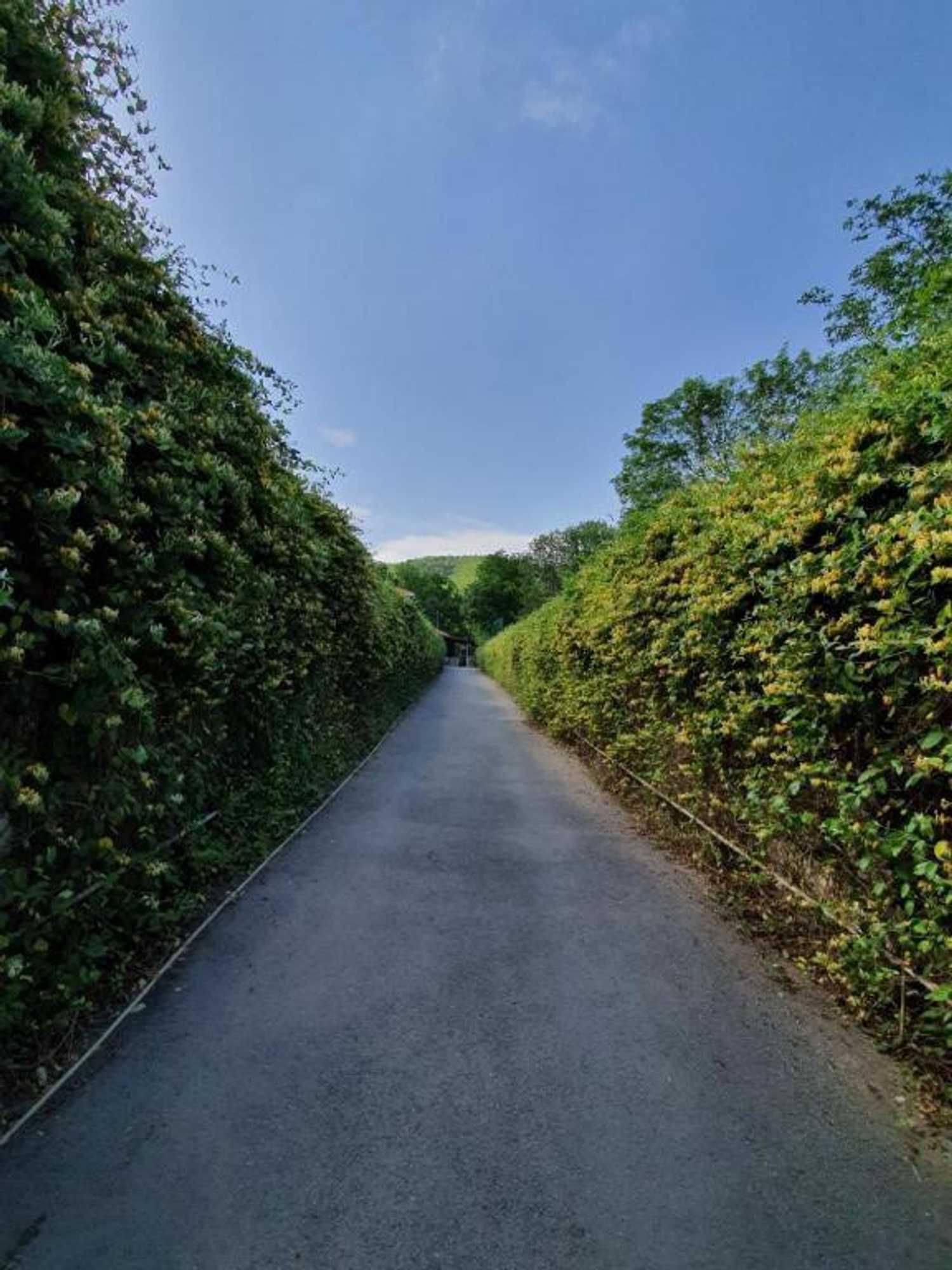 Gift card for Zangazur Hotel & Cottages