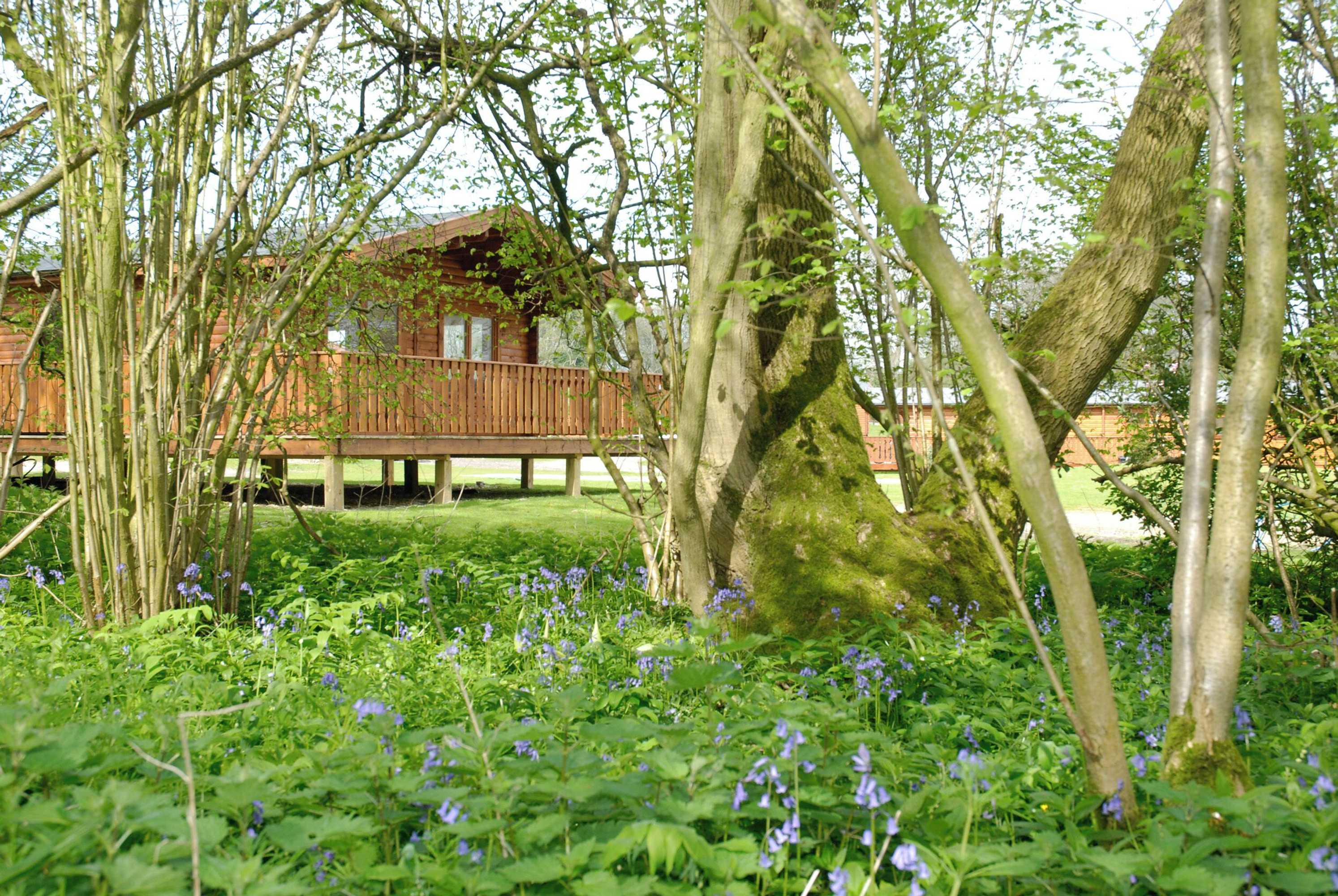 Gift card for South Winchester Lodges Gift card for South Winchester Lodges