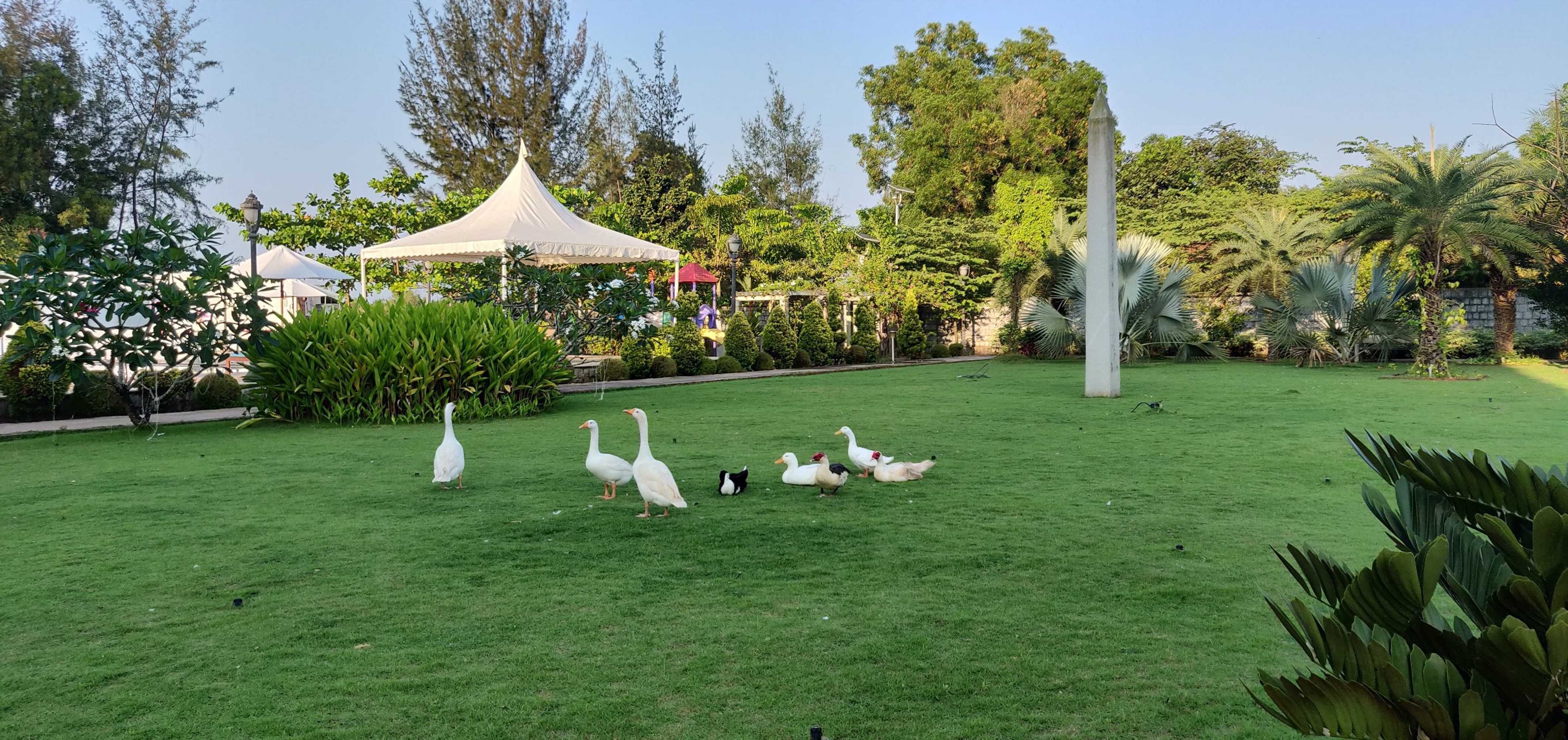 Gift card for Uva Meridian Bay Resort And Spa