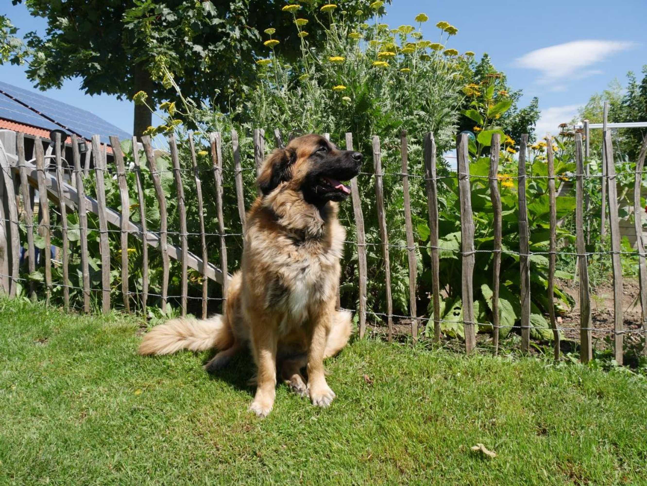 Gift card for Höhlerhof