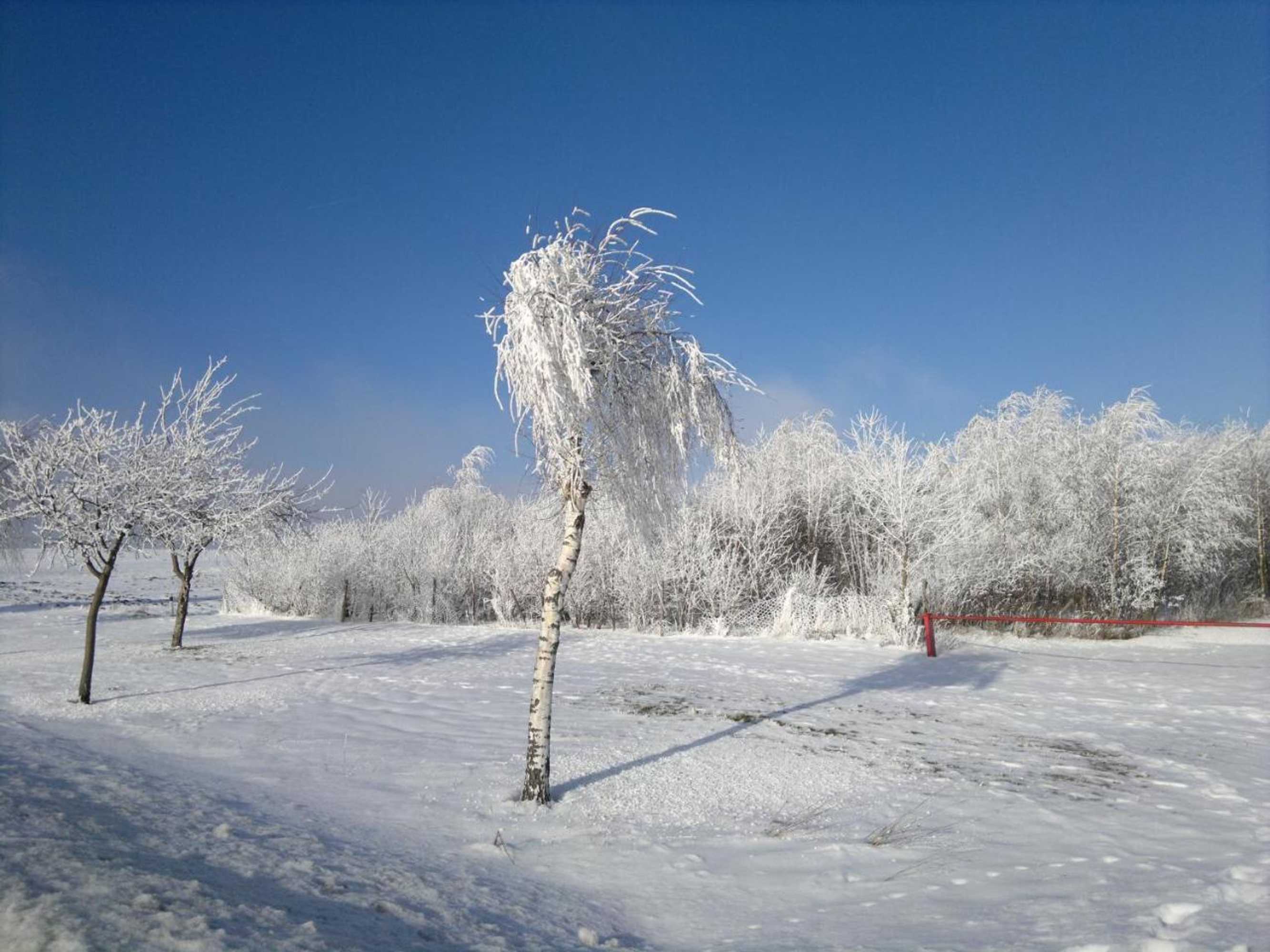 Gift card for B & B Gästehaus Schmidt