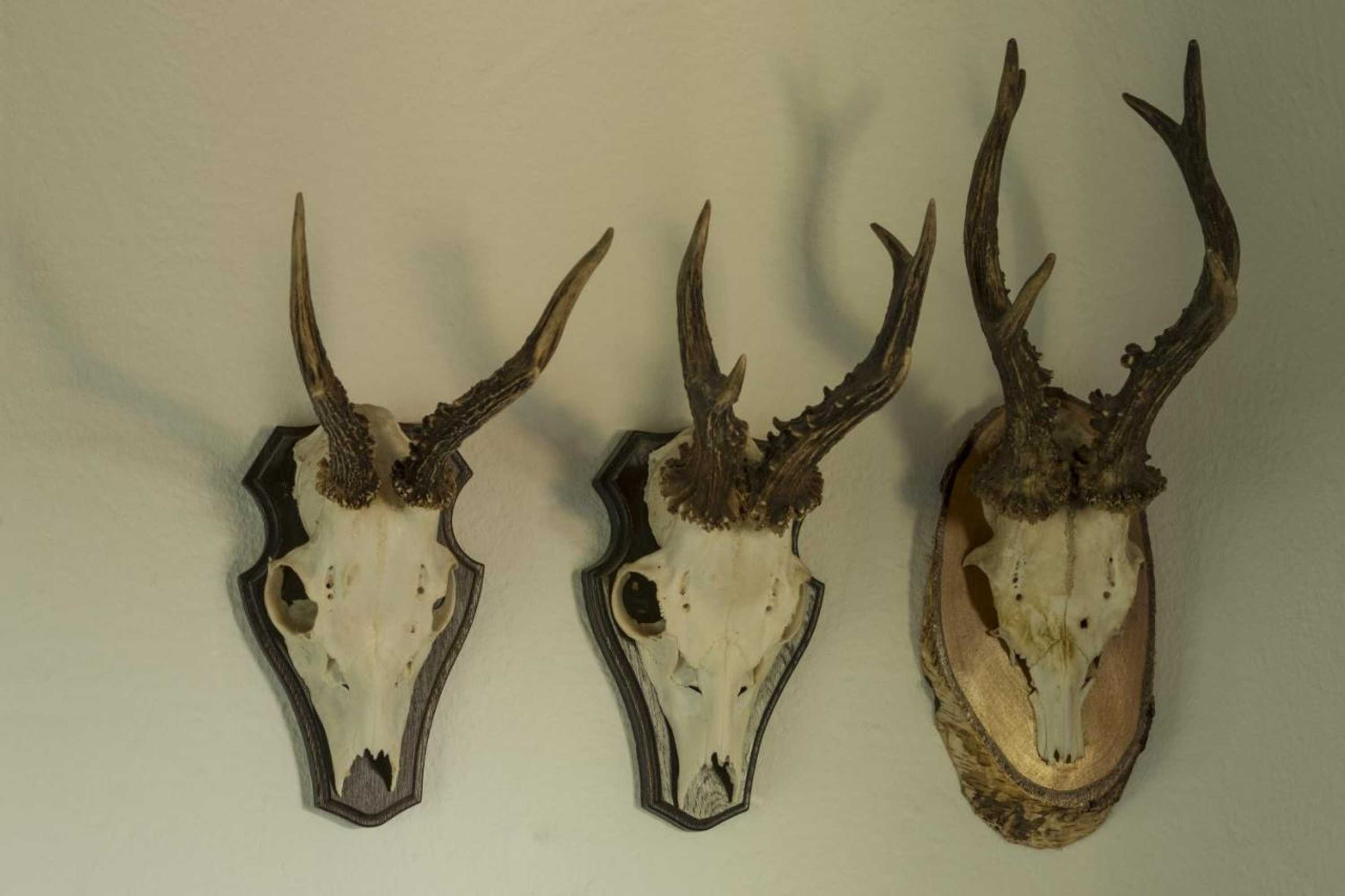 Gift card for Hotel Restaurant Häsfeld