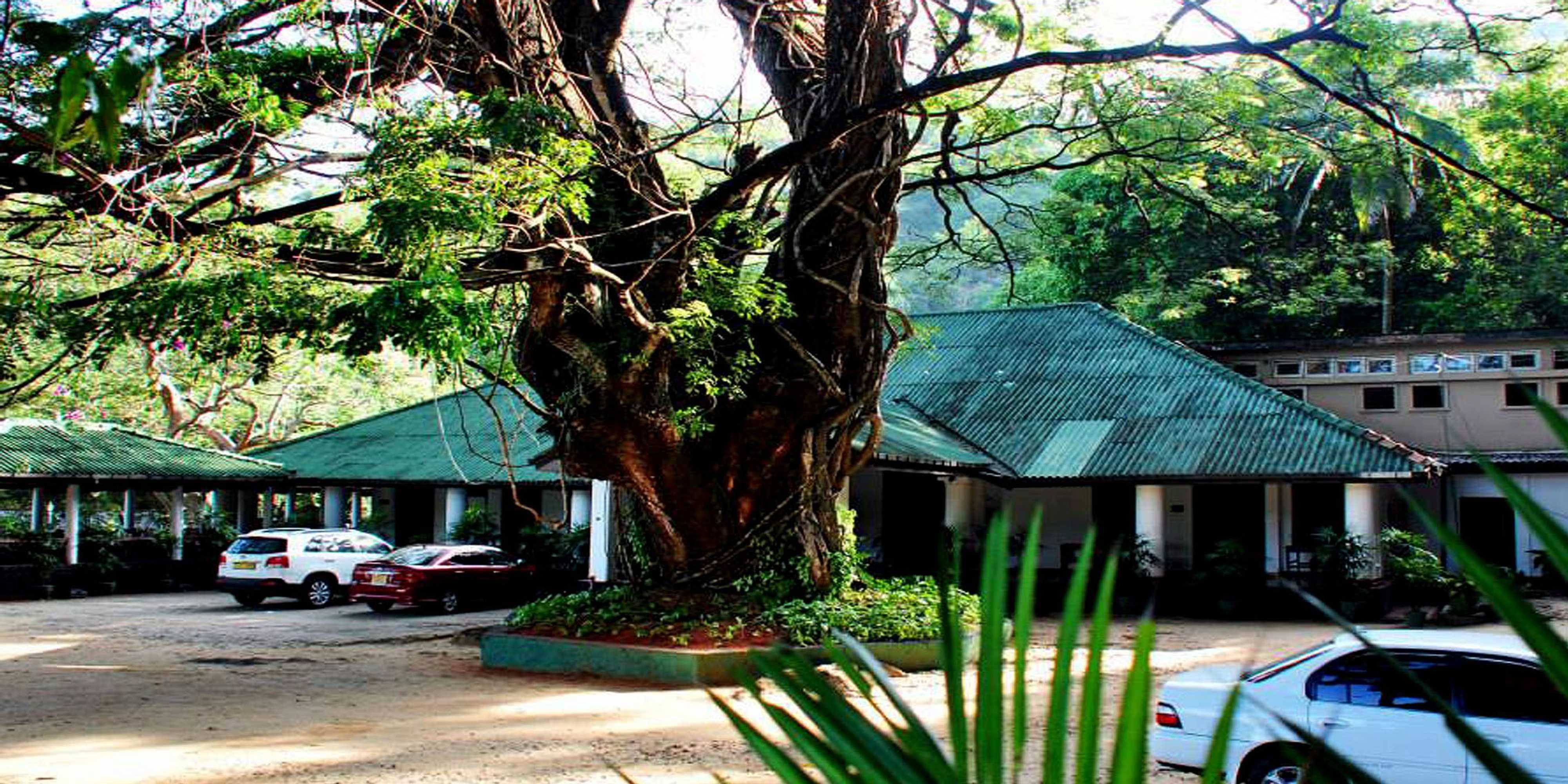 Gift card for Belihuloya Rest House Gift card for Belihuloya Rest House