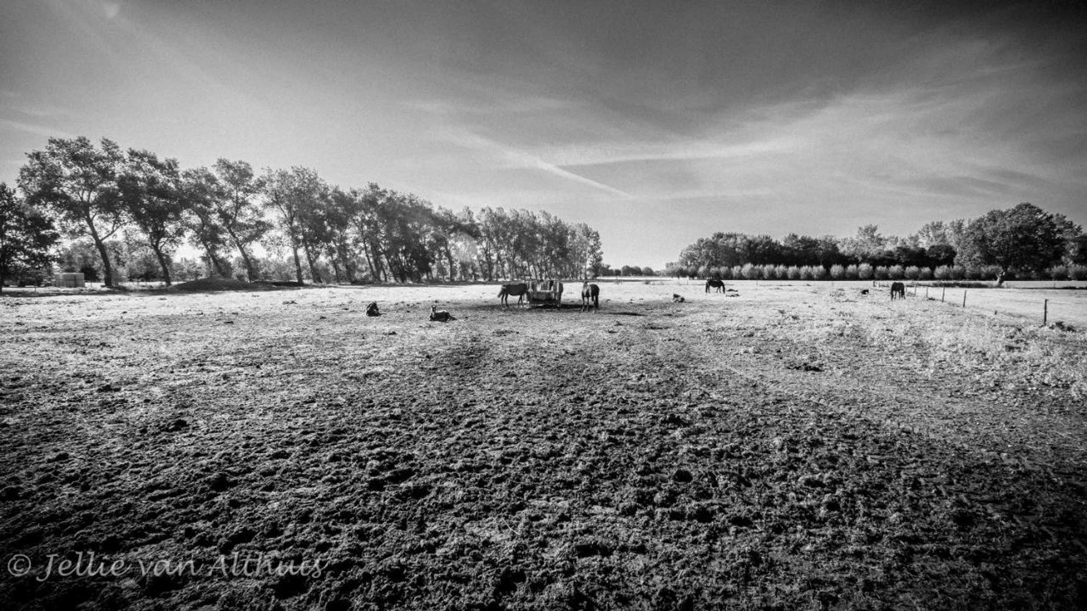 Gift card for Bed & Breakfast de Bimd Hoeve