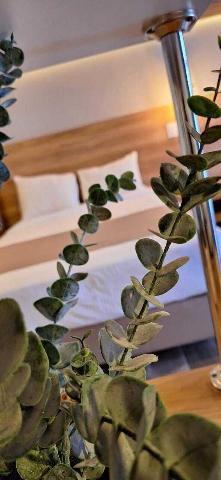 Gift card for La Posada Hotel & Suites