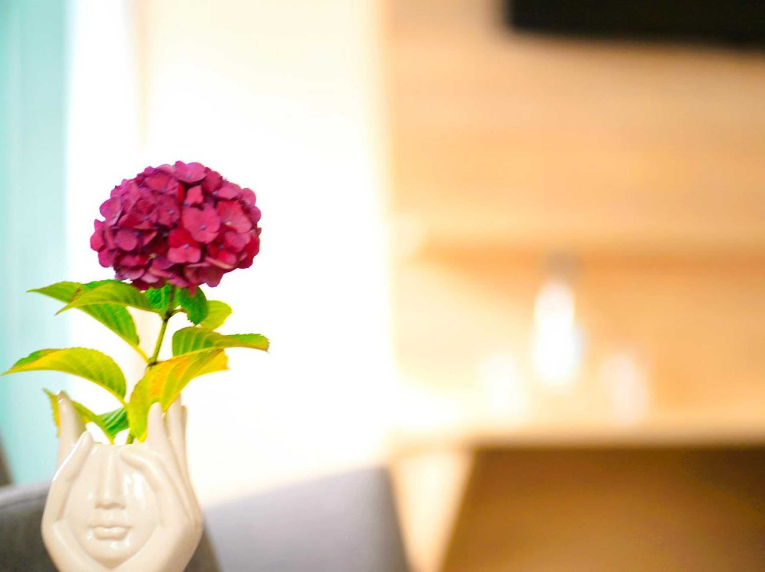 Gift card for Hotel Gasthof Müller