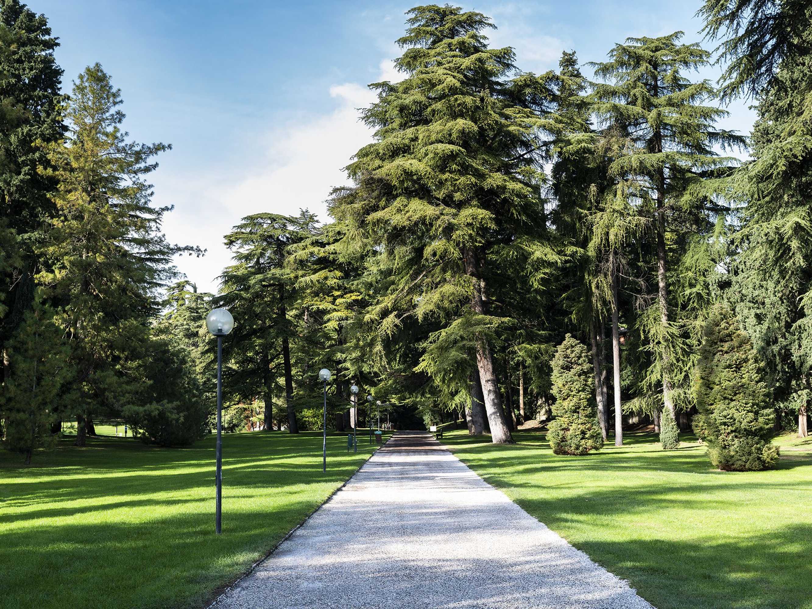 Gift card for Villa Dei Cedri Thermal Park & Natural Spa Gift card for Villa Dei Cedri Thermal Park & Natural Spa