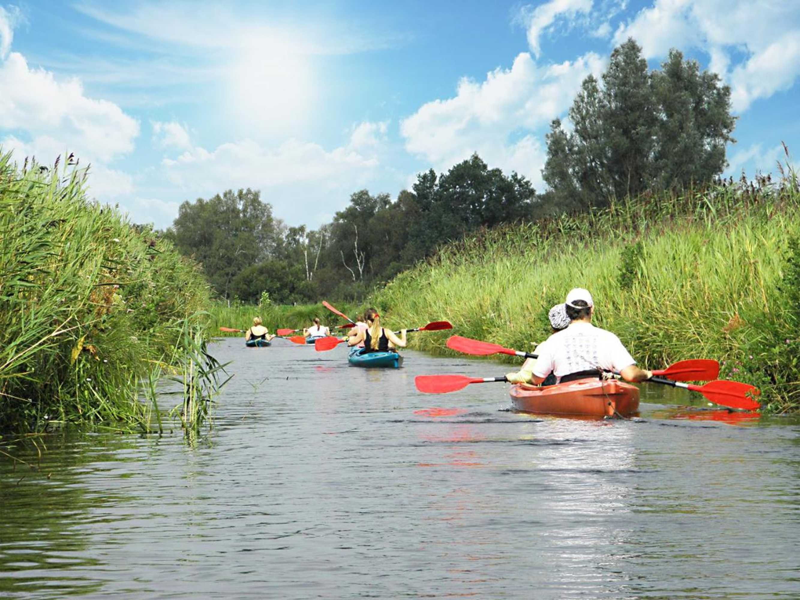 Gift card for Bed And Breakfast Rammesdoenk