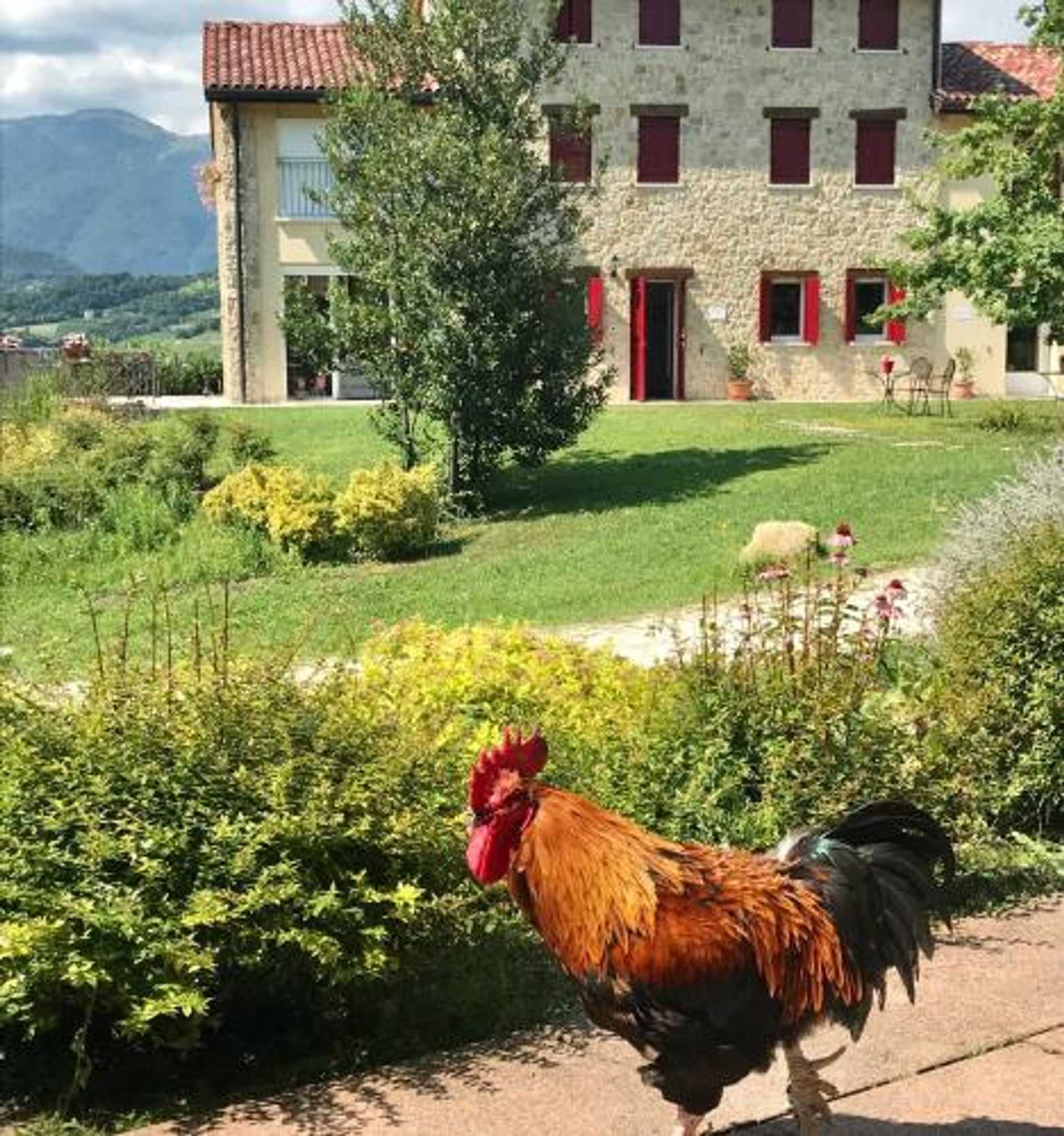 Gift card for Agriturismo Lemire Gift card for Agriturismo Lemire