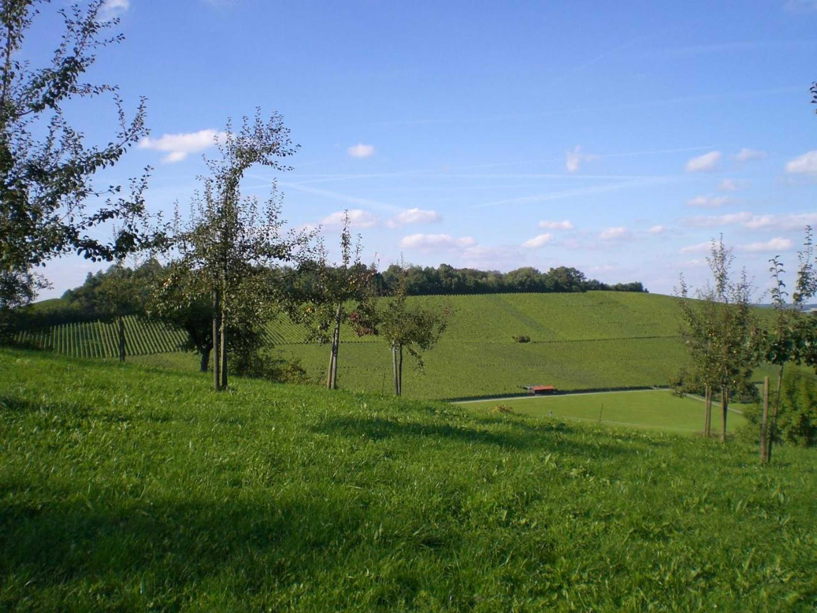 Gift card for Pension Rose