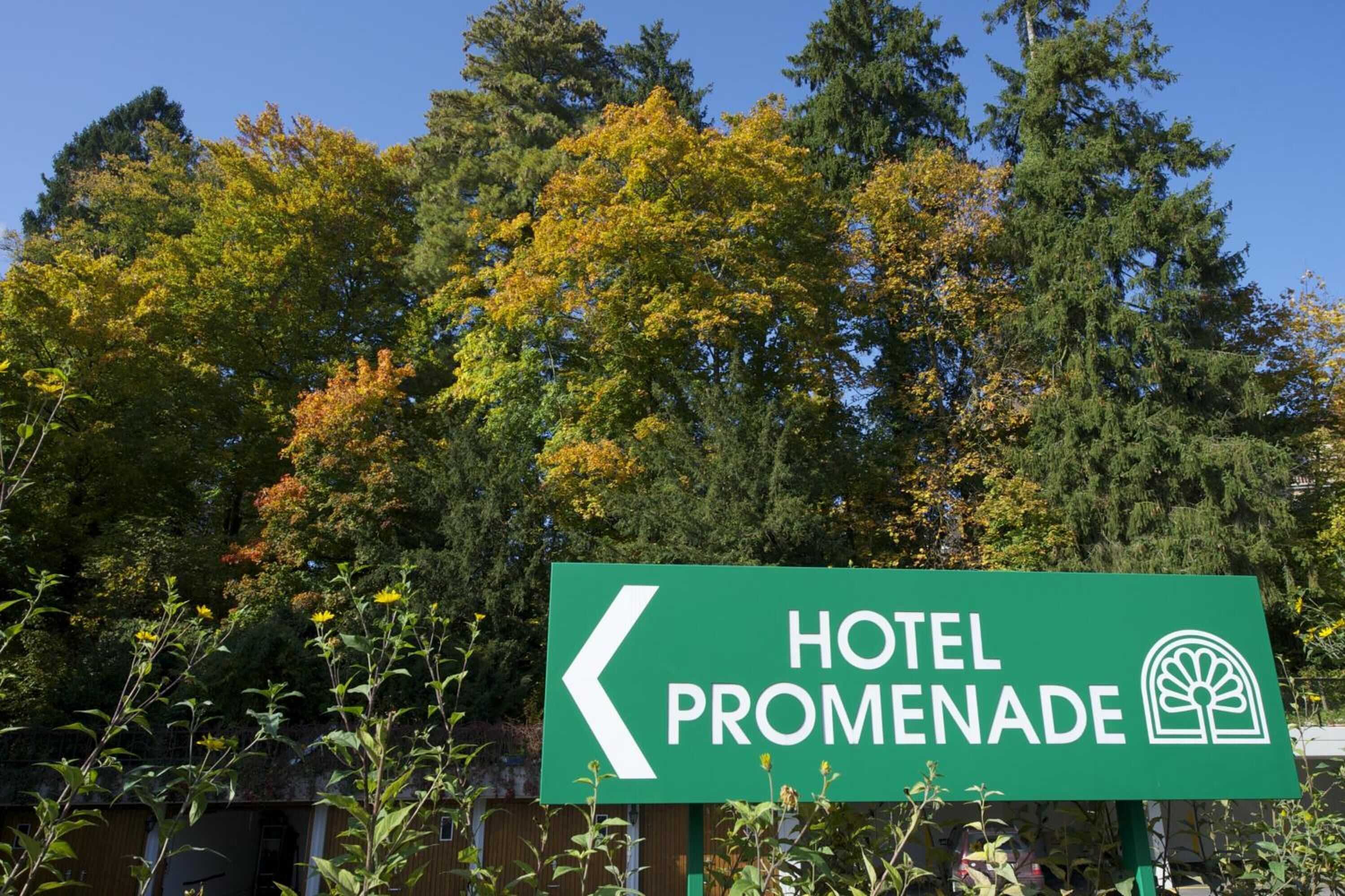 Gift card for Hotel Promenade Gift card for Hotel Promenade