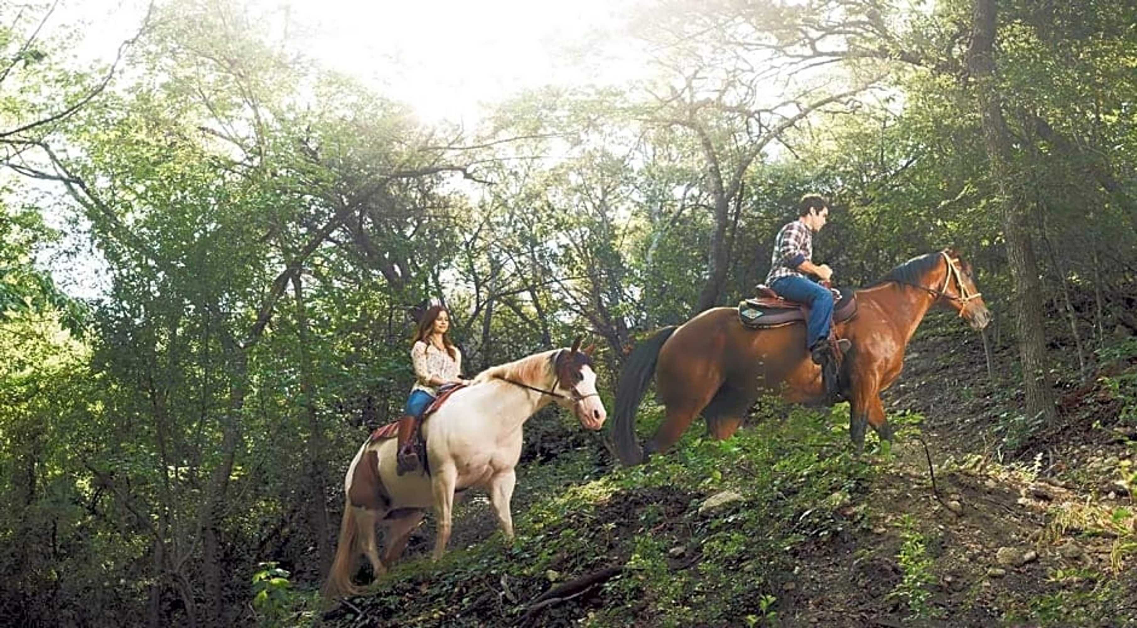 Gift card for Miraval Austin Resort & Spa