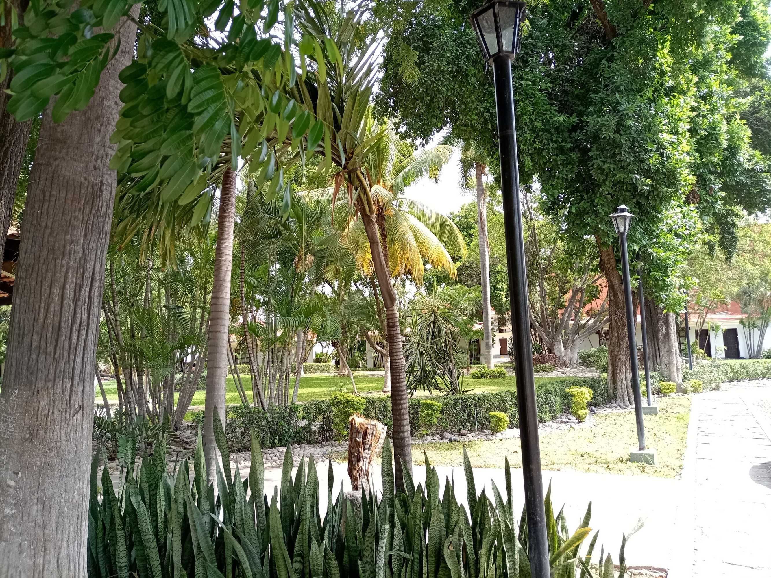 Gift card for Inhouse Select Hacienda Tres Rios Gift card for Inhouse Select Hacienda Tres Rios