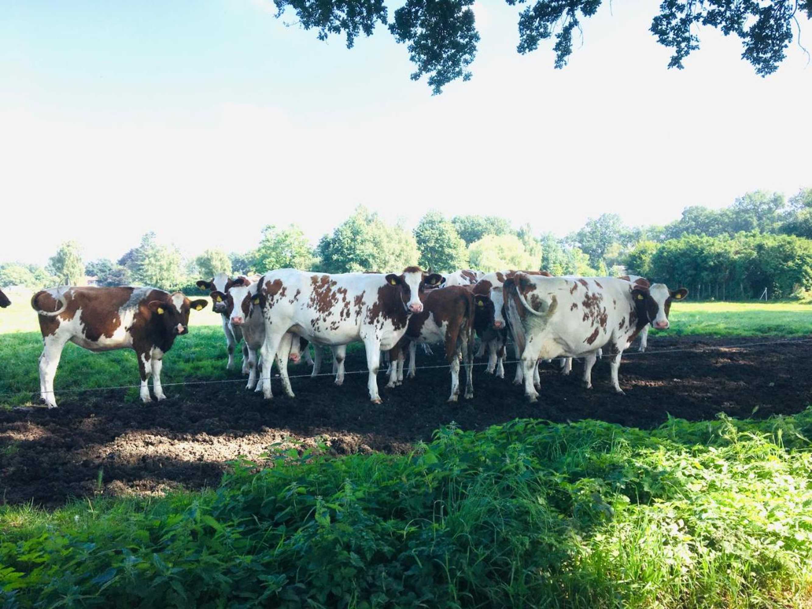 Gift card for 't Aarthuis