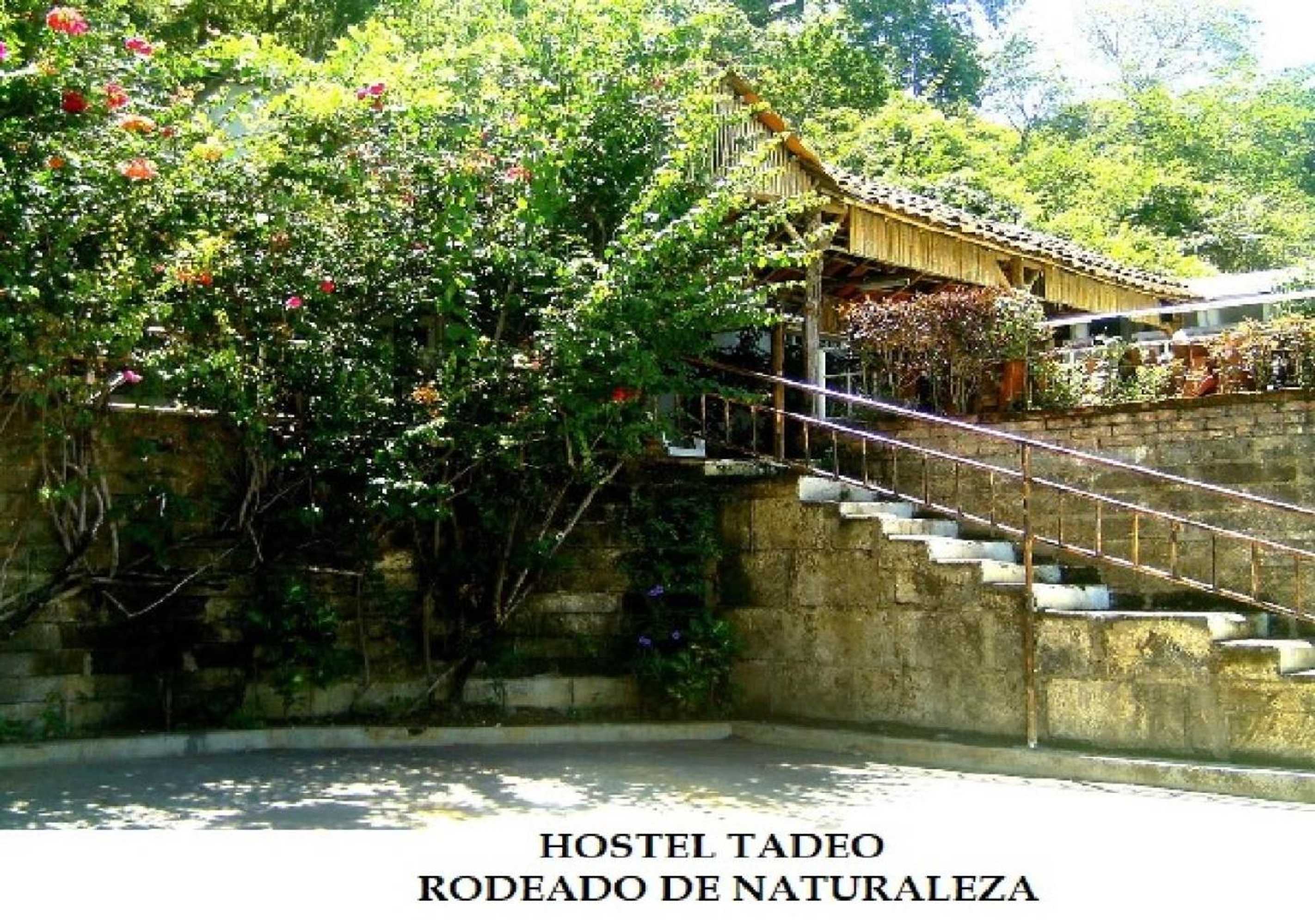 Gift card for Hostel Tadeo San Juan Del Sur Gift card for Hostel Tadeo San Juan Del Sur