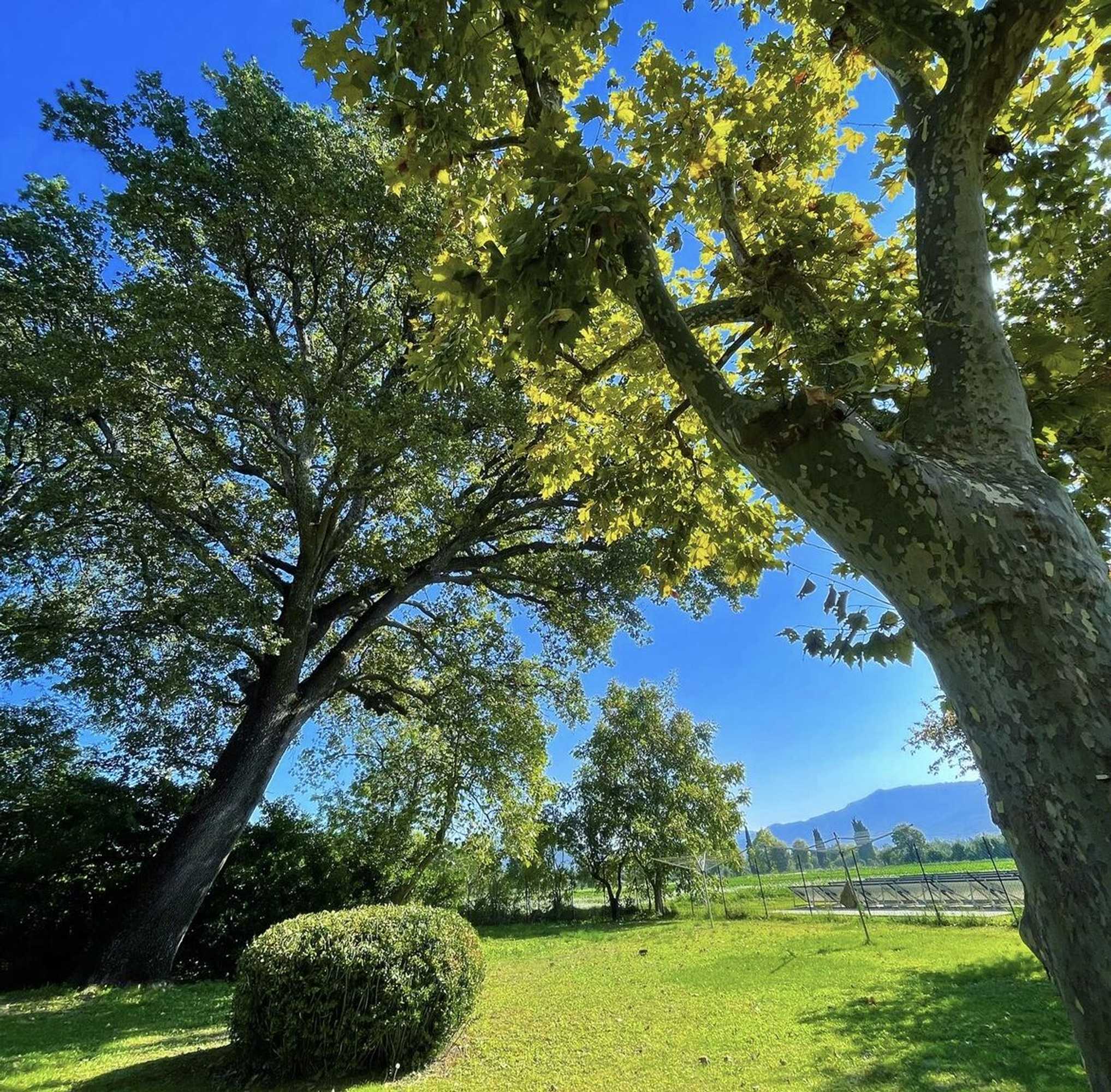 Gift card for Bastide Beaudinard Gift card for Bastide Beaudinard