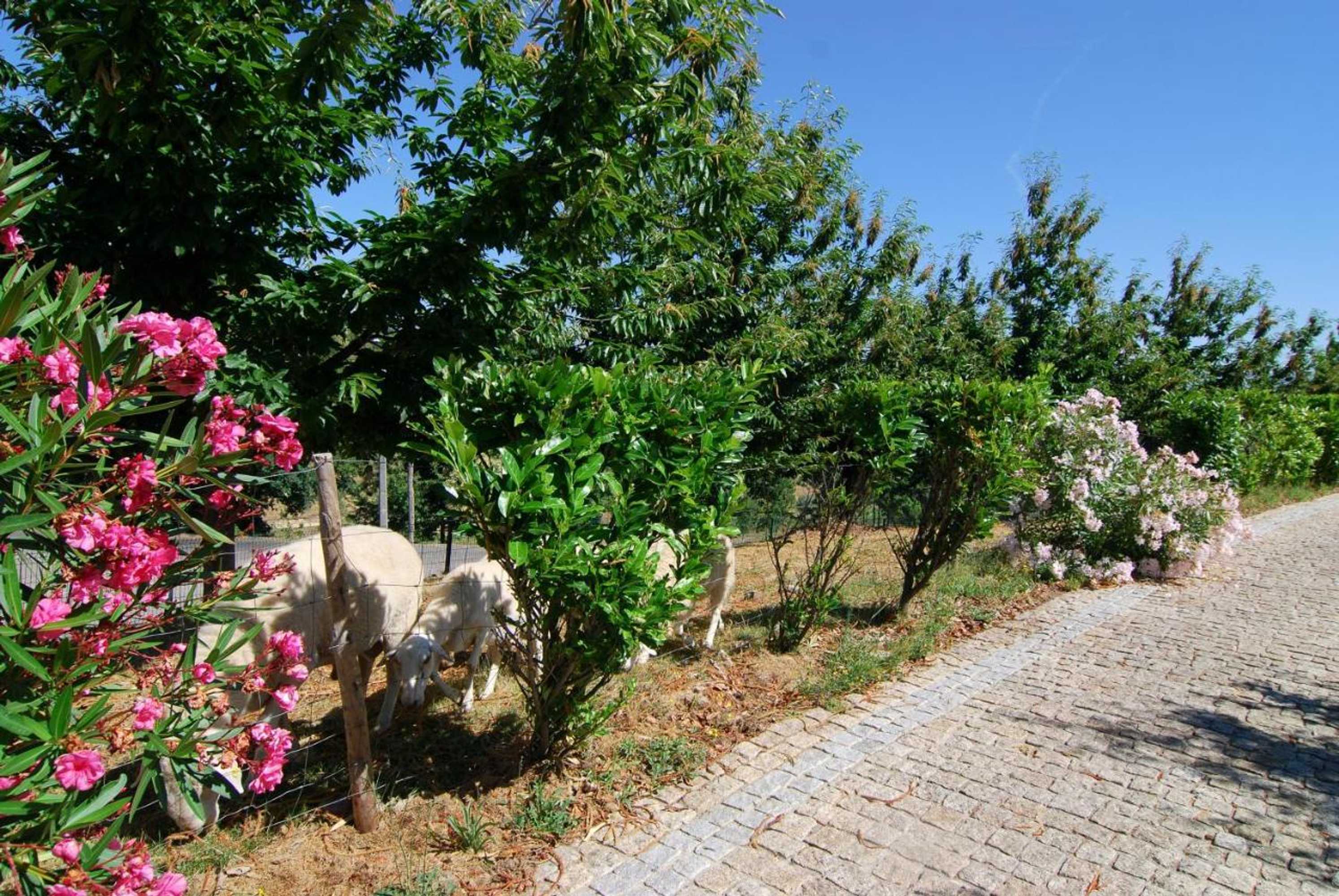 Gift card for Quinta do Alto