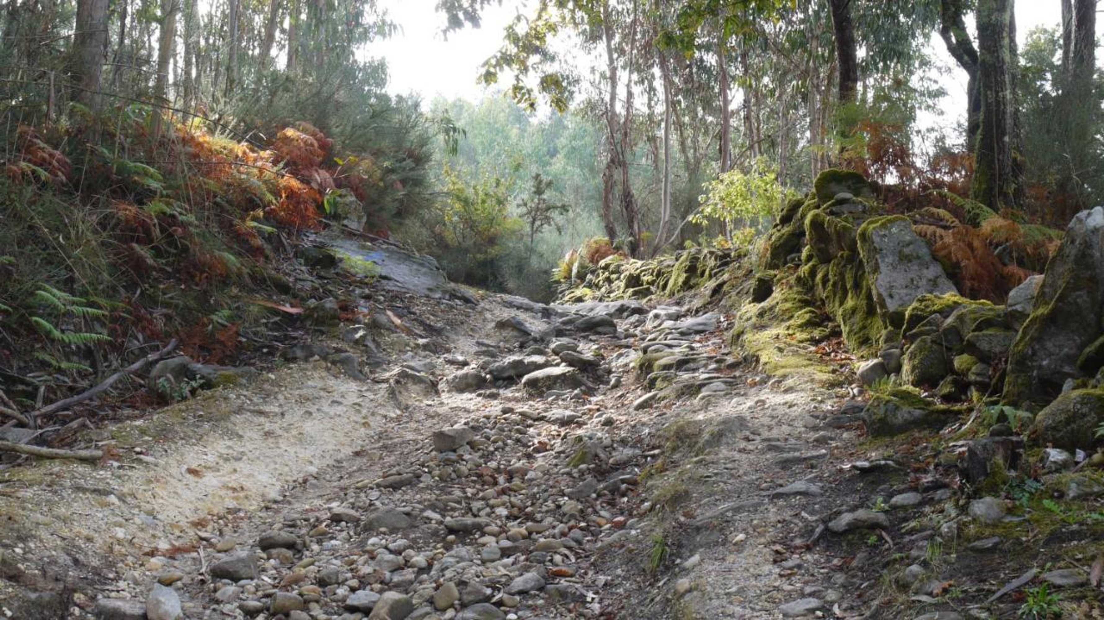 Gift card for Quinta Das Leiras - Rubiães Gift card for Quinta Das Leiras - Rubiães