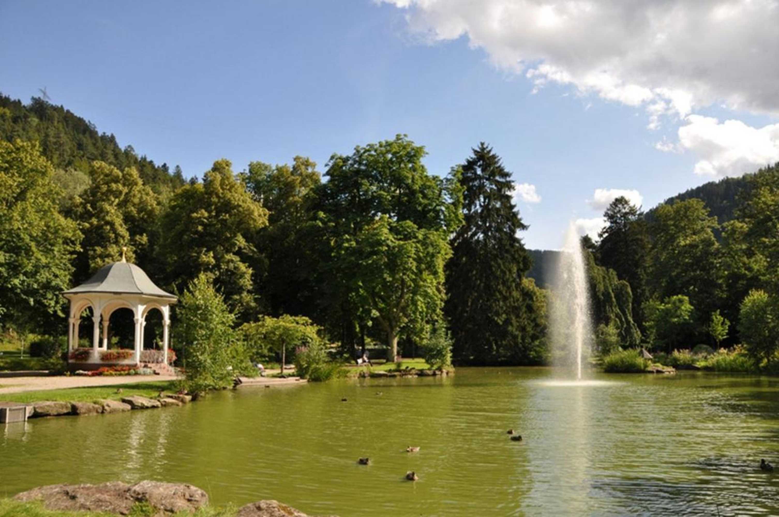 Gift card for L'italiano Vero Ristorante Pizzeria & Gasthof Vero