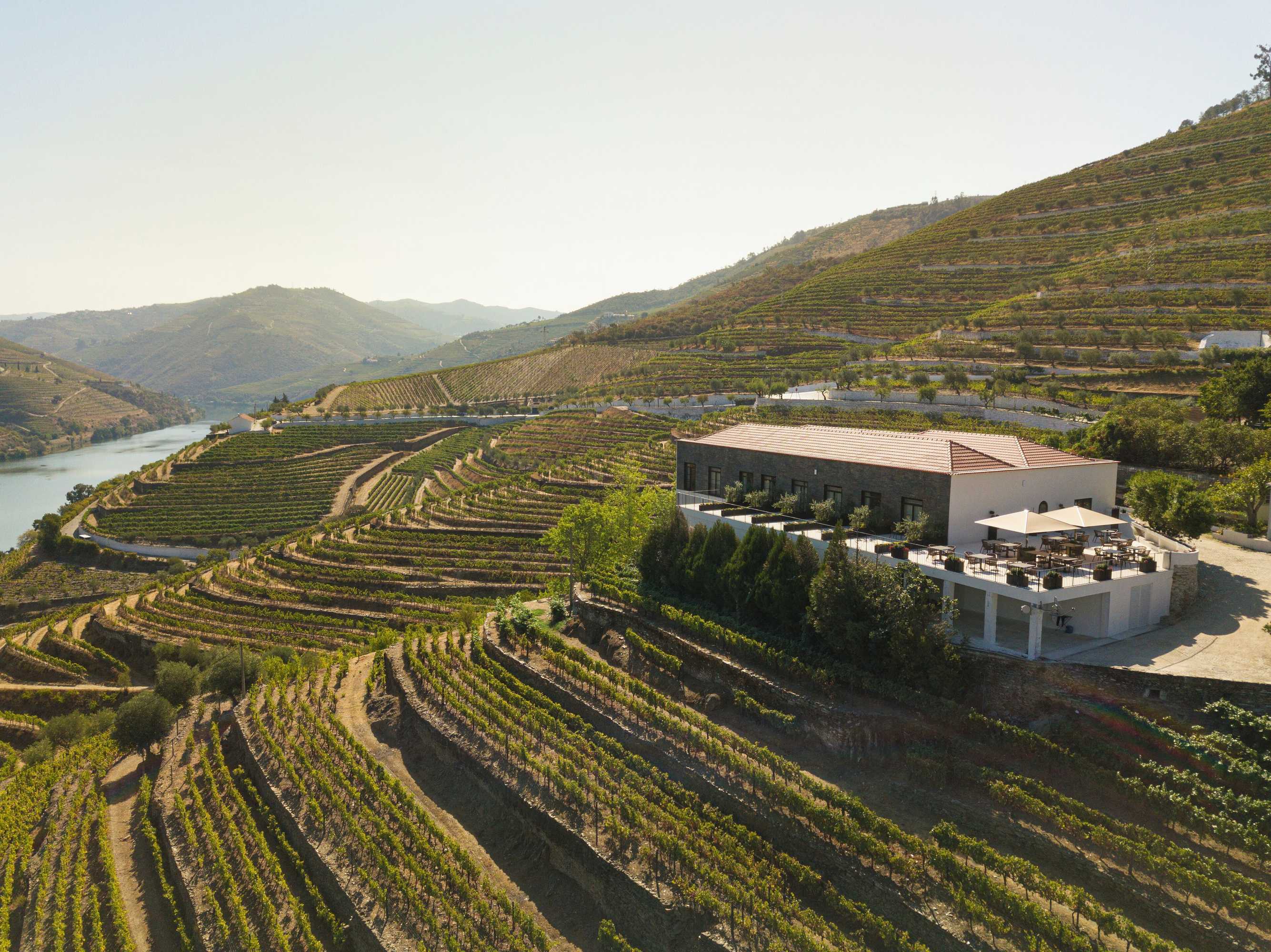 Gift card for Quinta de São Luiz The Vine House