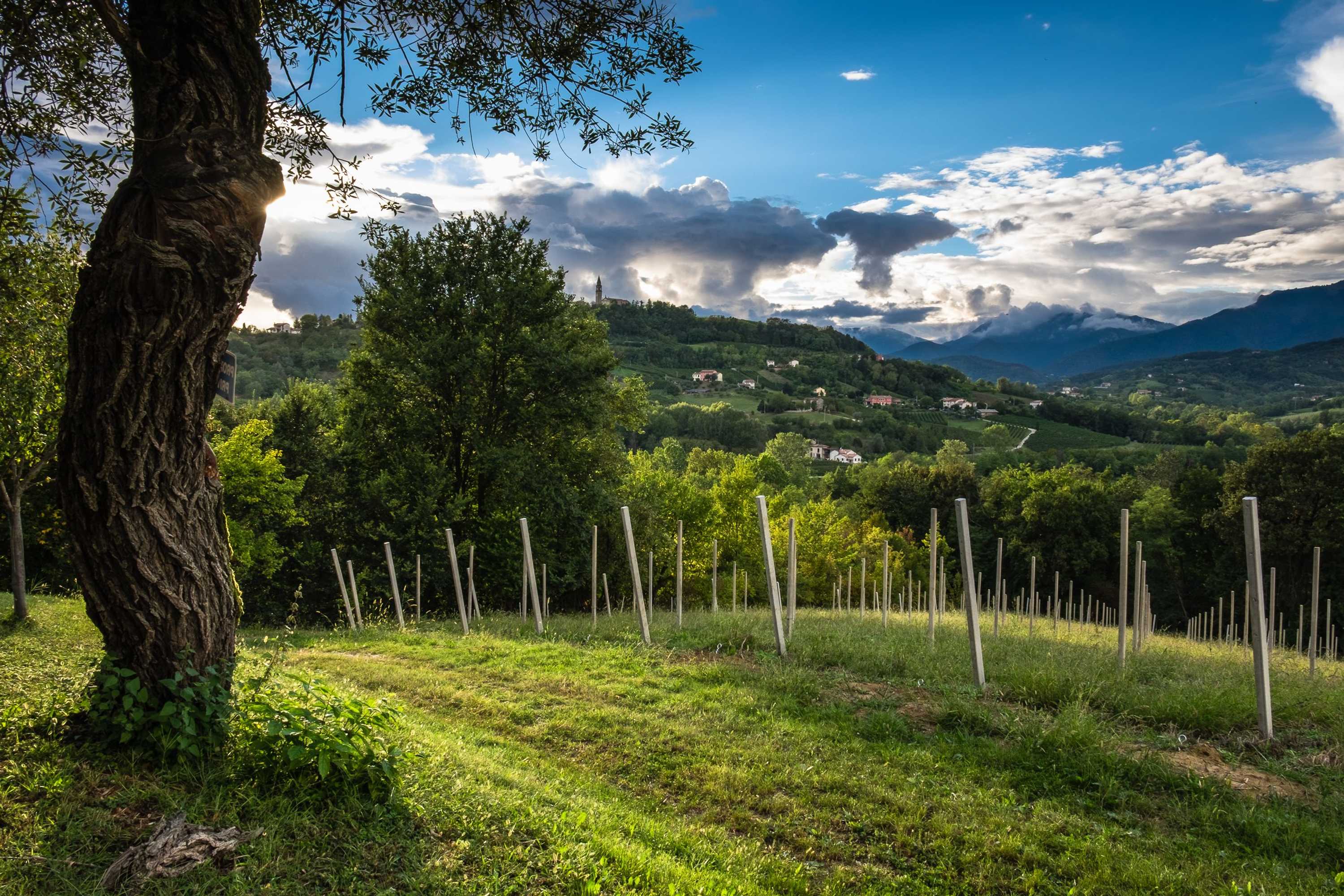 Gift card for Agriturismo Le Spezie Gift card for Agriturismo Le Spezie