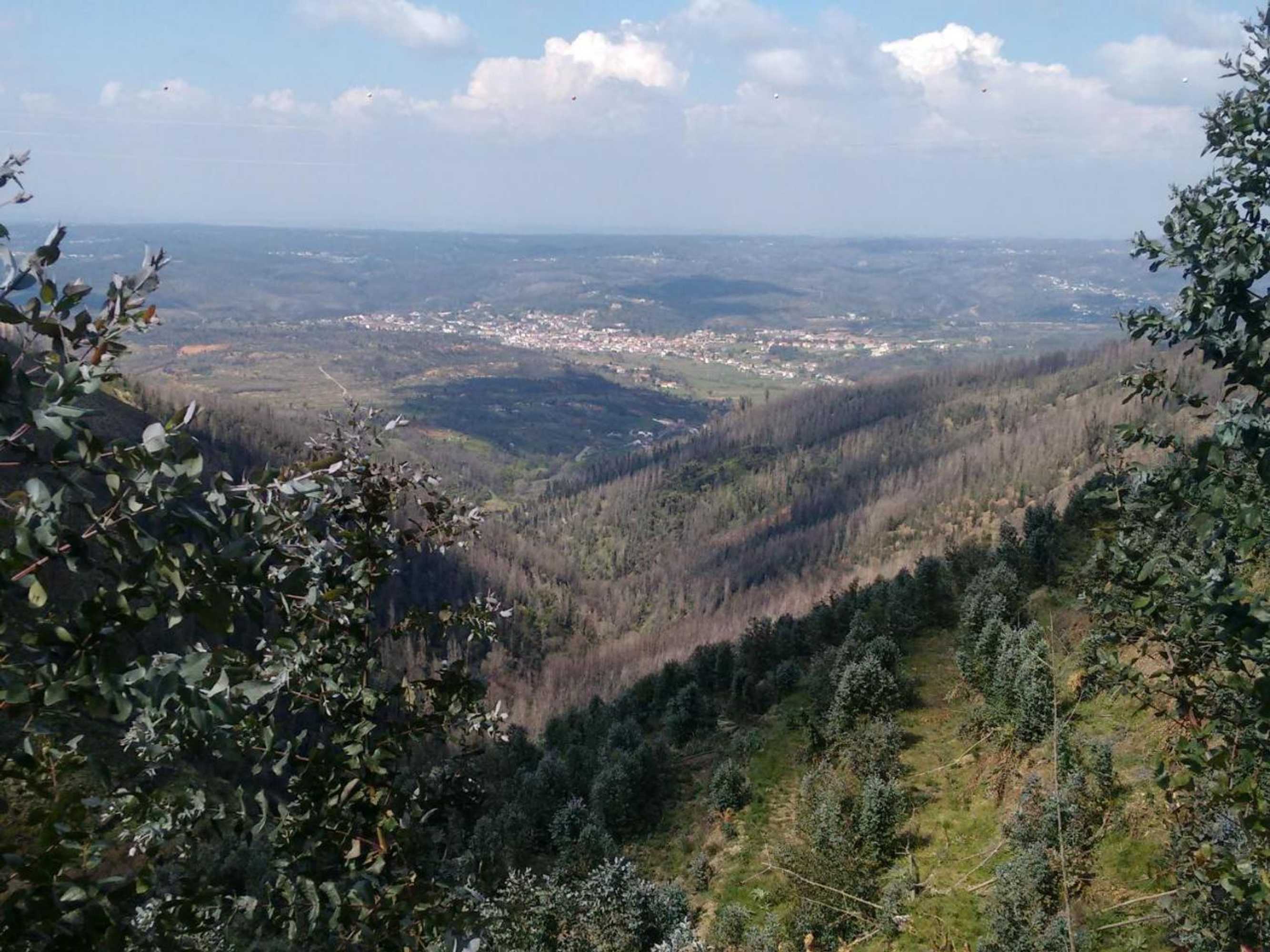 Gift card for Santa Clara