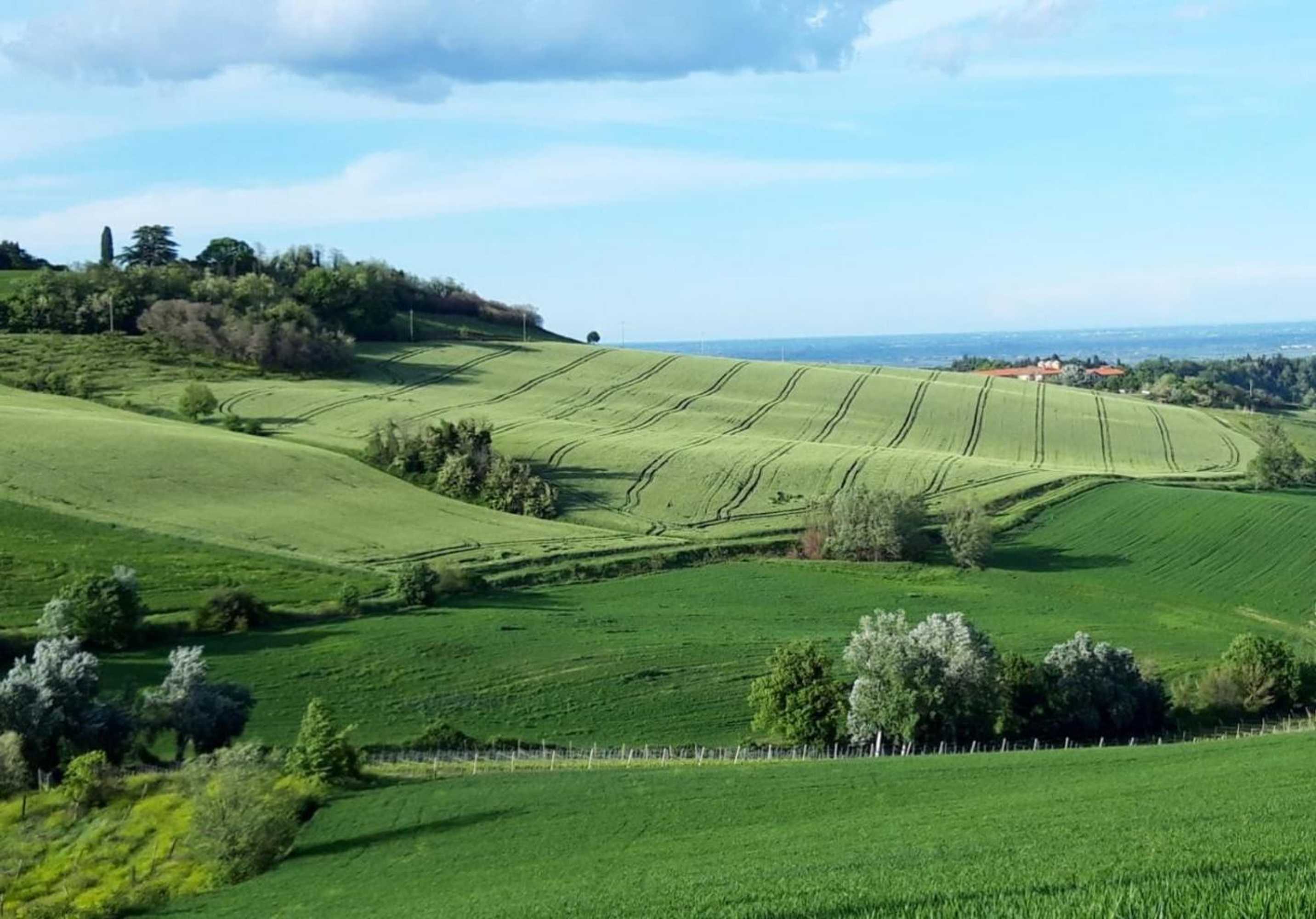 Gift card for Locanda Donna Laura