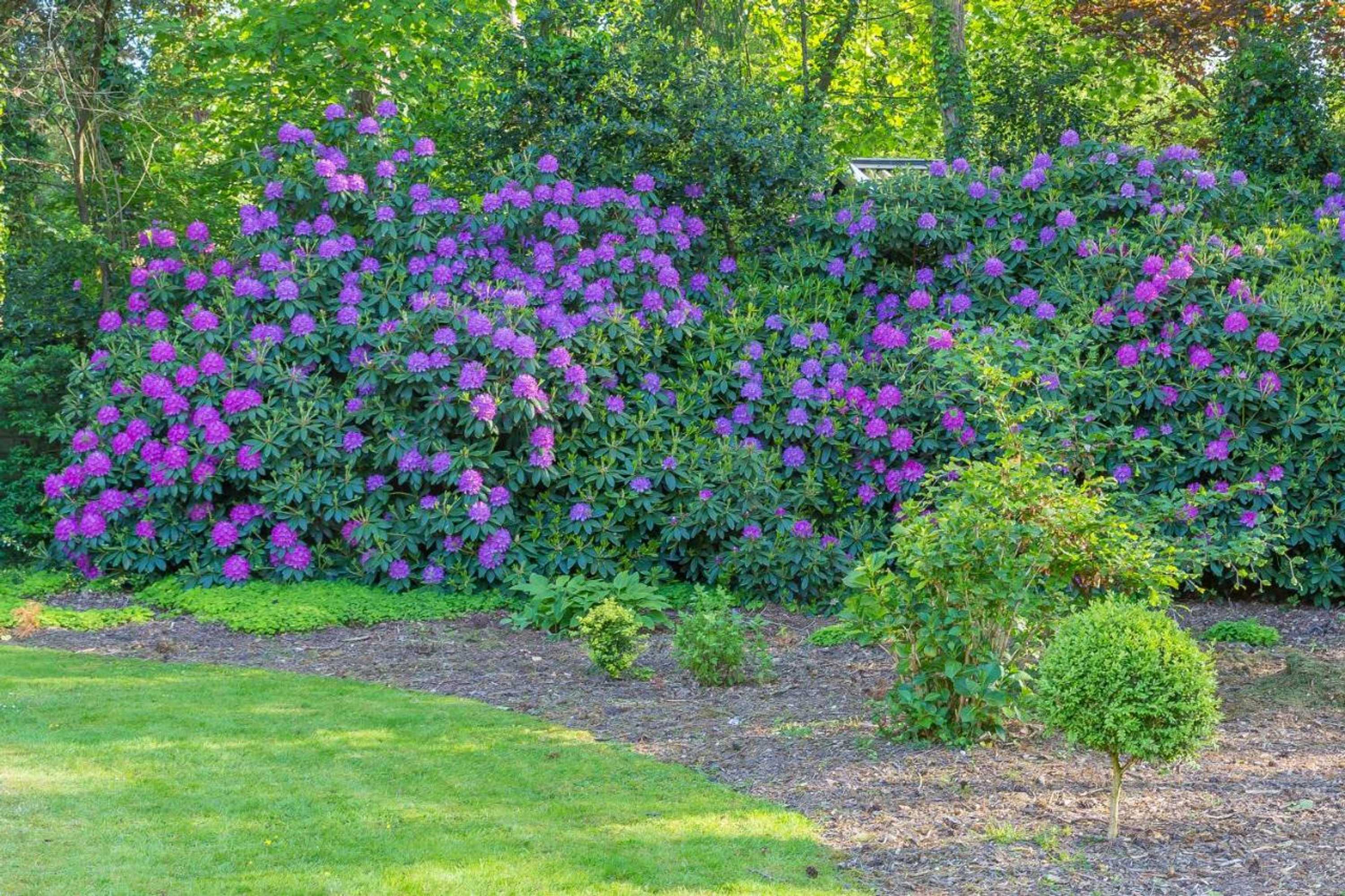 Gift card for B&b Schipborg