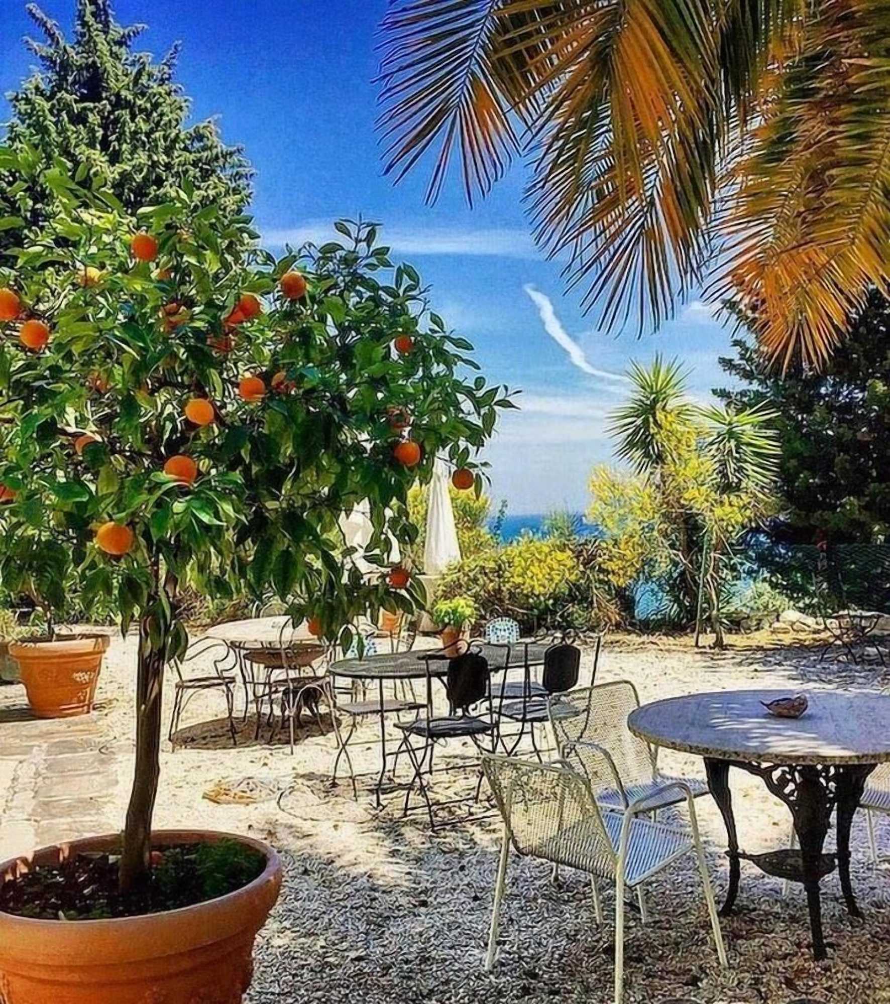 Gift card for Le Due Palme Sirolo B&b Gift card for Le Due Palme Sirolo B&b