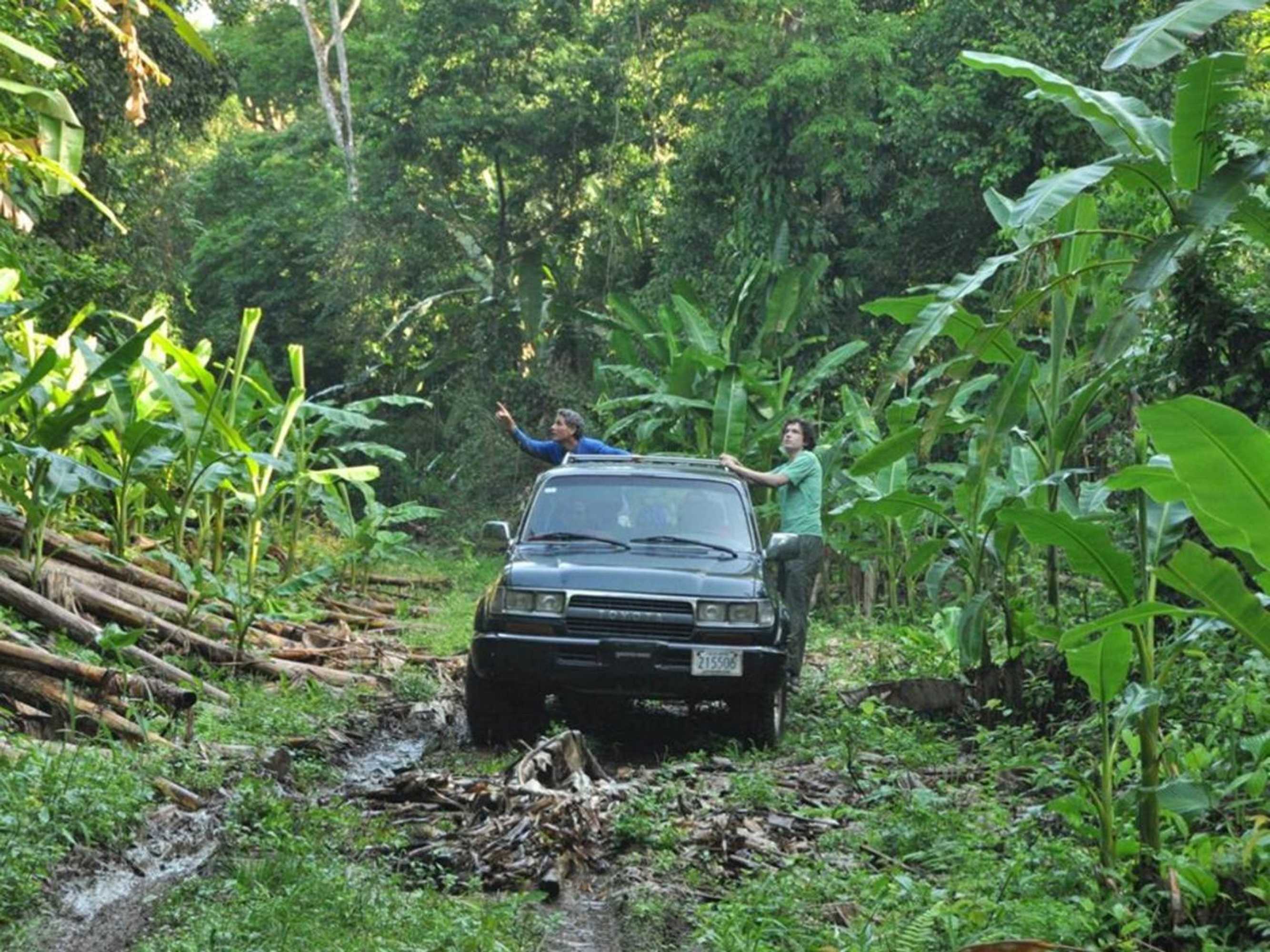 Gift card for Volare